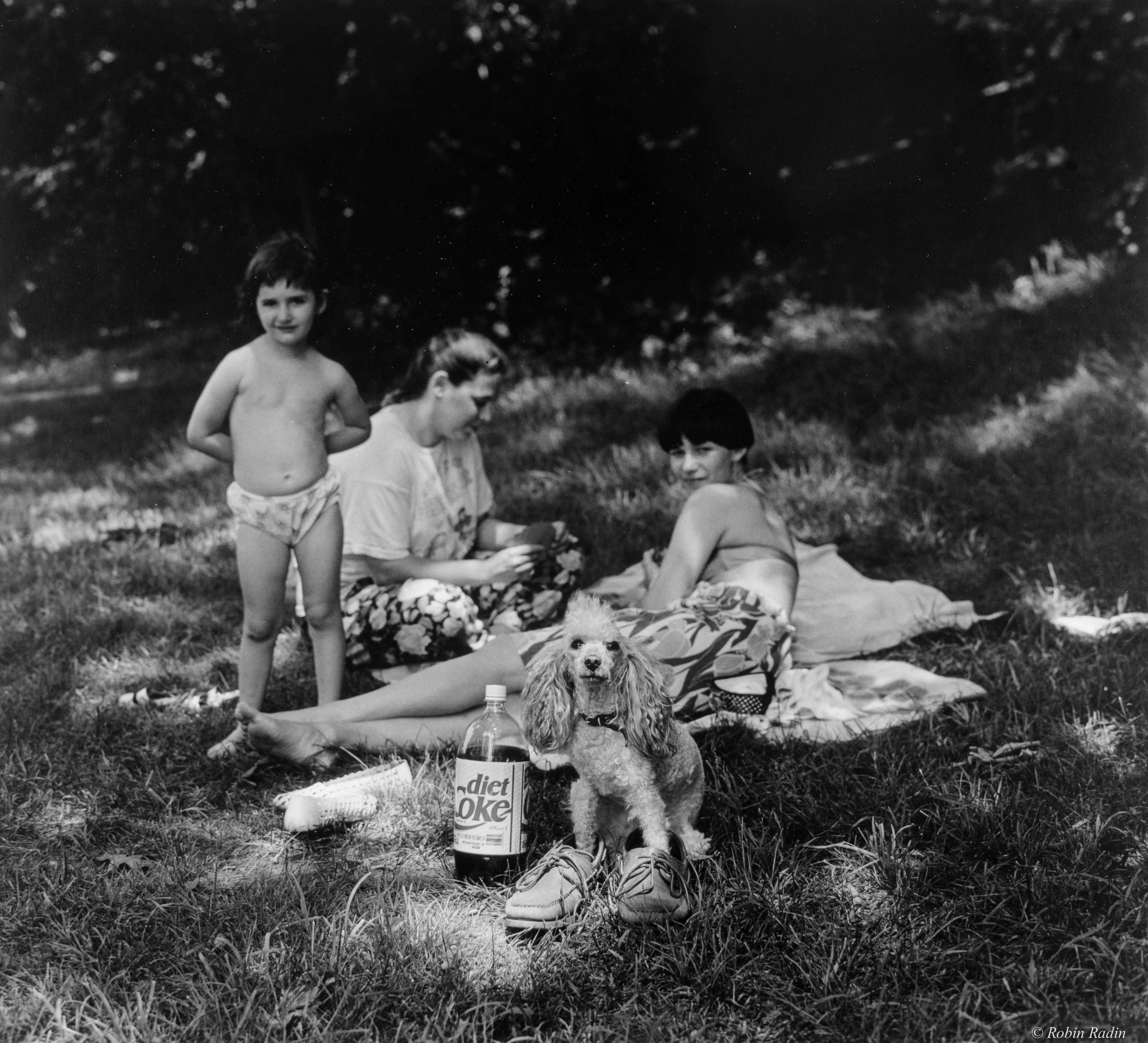 Picnic, Jamaica Pond, Jamaica Plain, MA.