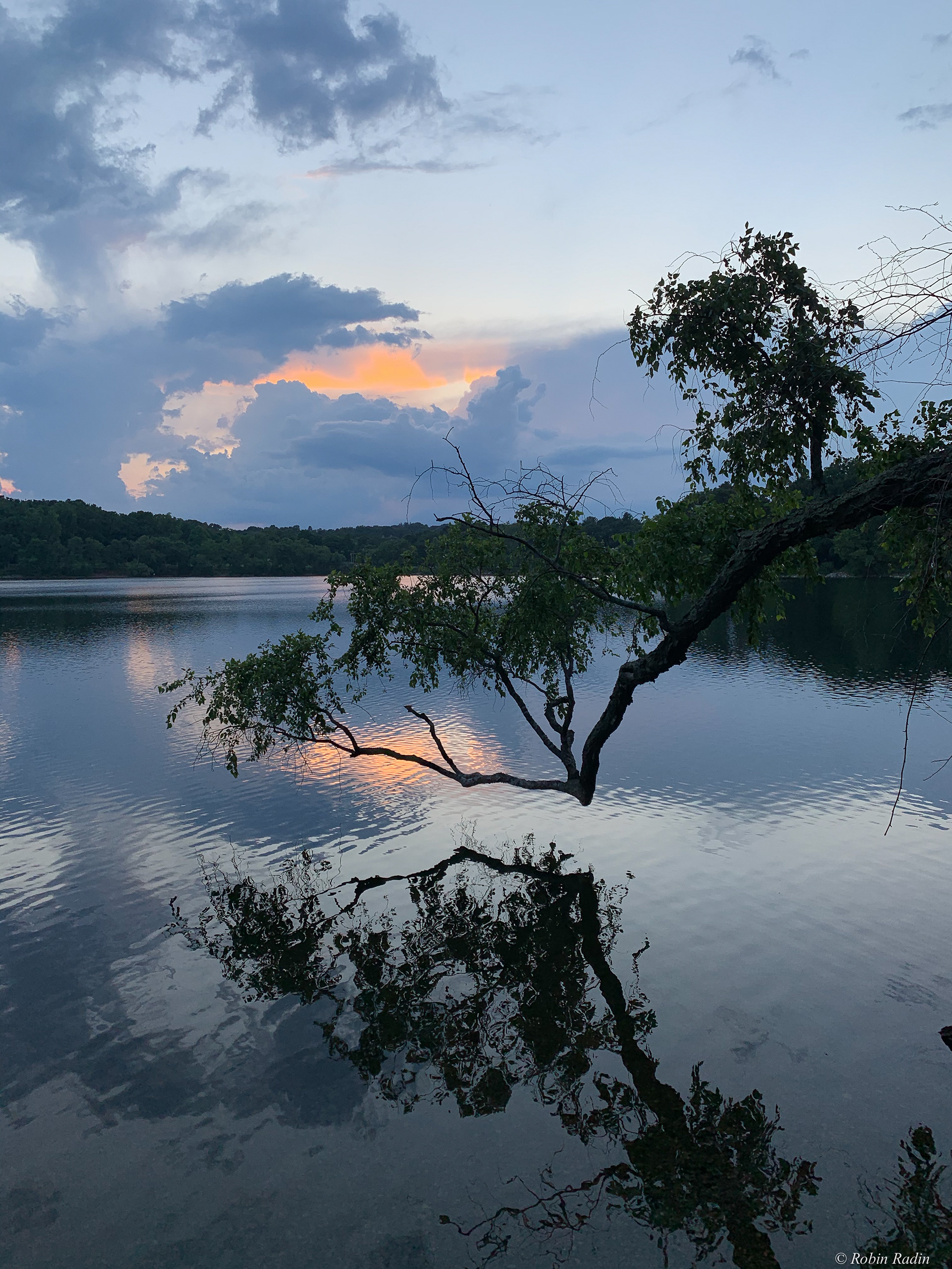 Summer Sunset, Jamaica Pond, Jamaica Plain, MA.