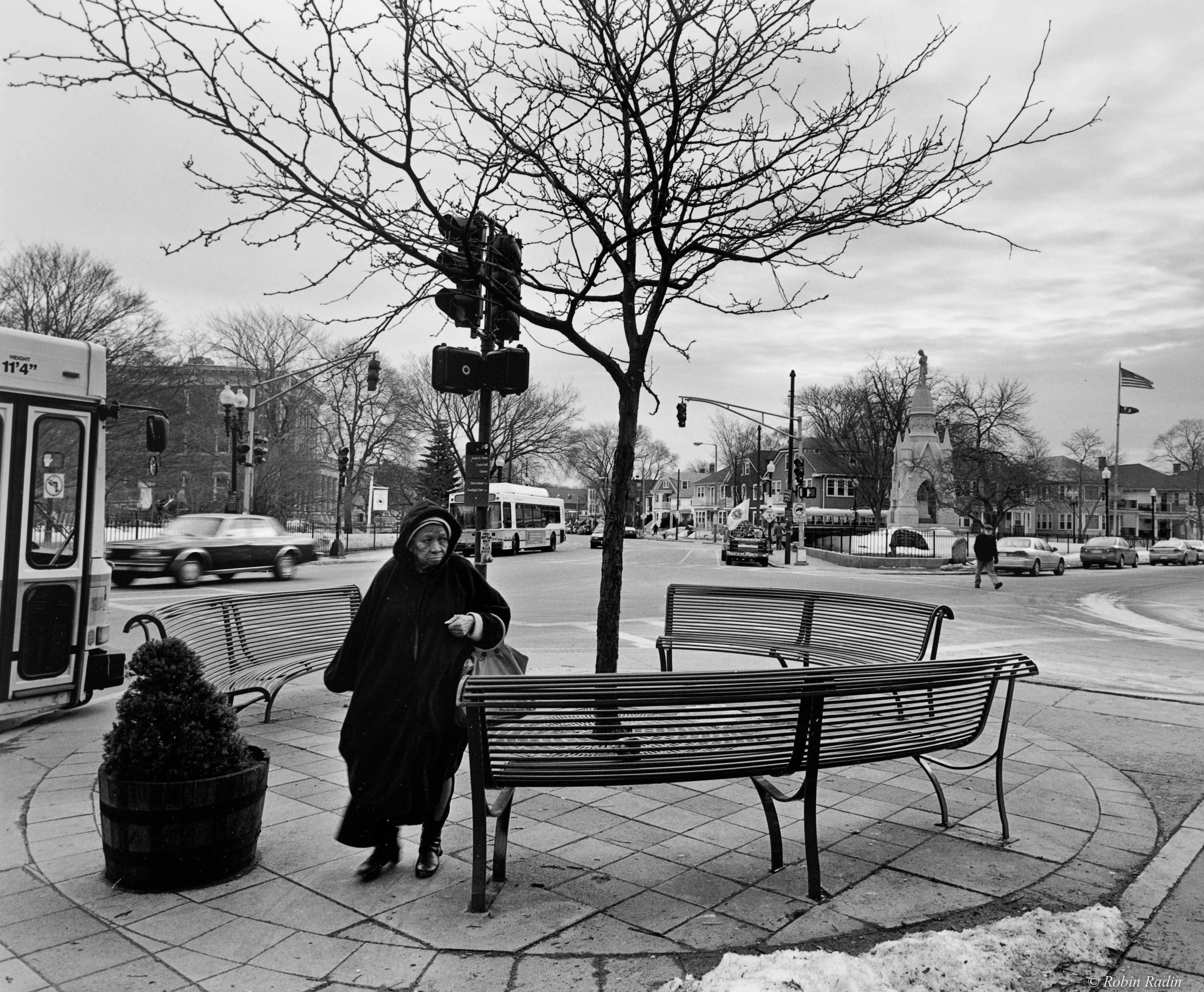 Waiting For Spring, Jamaica Plain, MA.