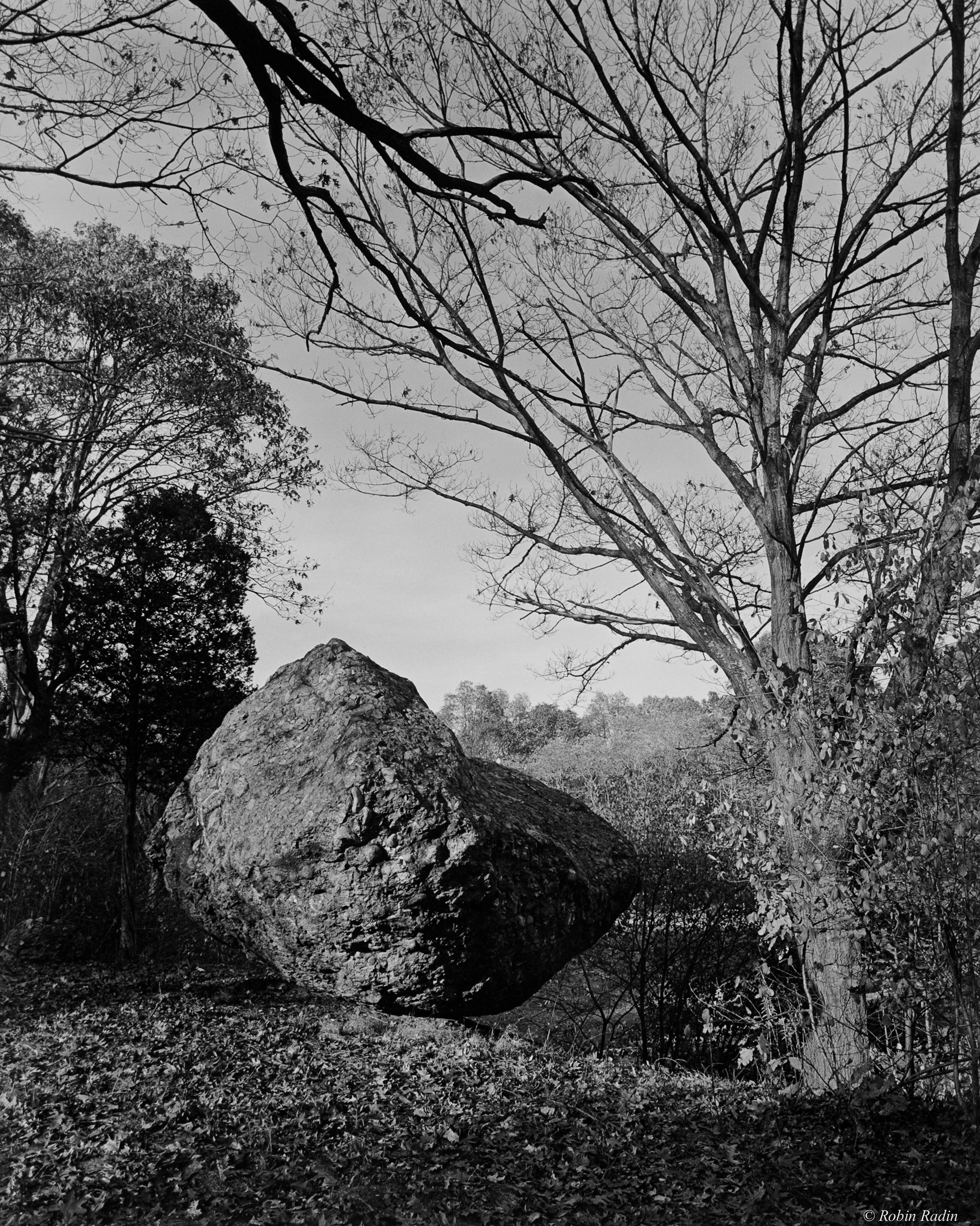 Puddingstone #2, Franklin Park, Jamaica Plain, MA.