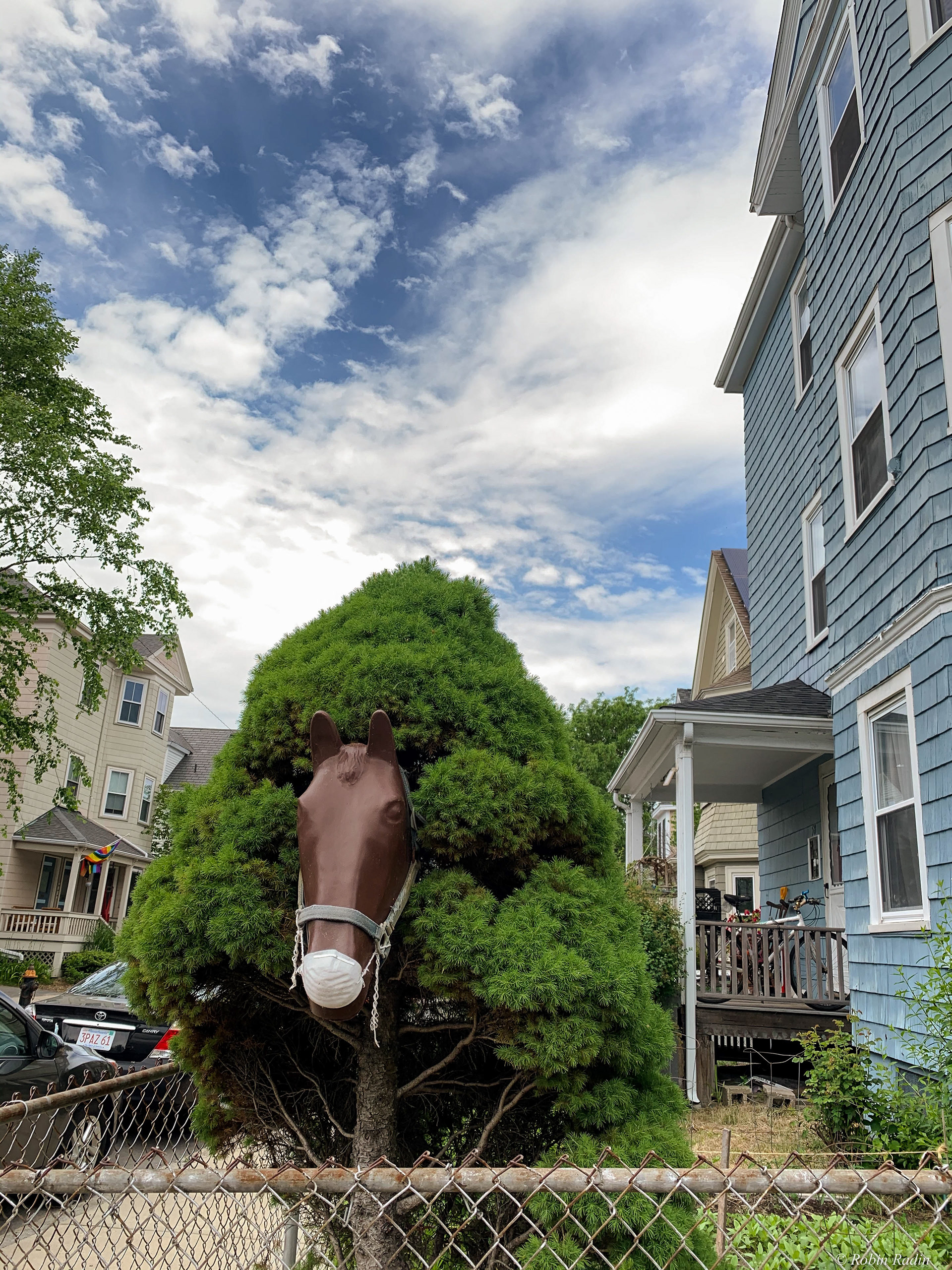 Horse’s Mane, Jamaica Plain, MA.