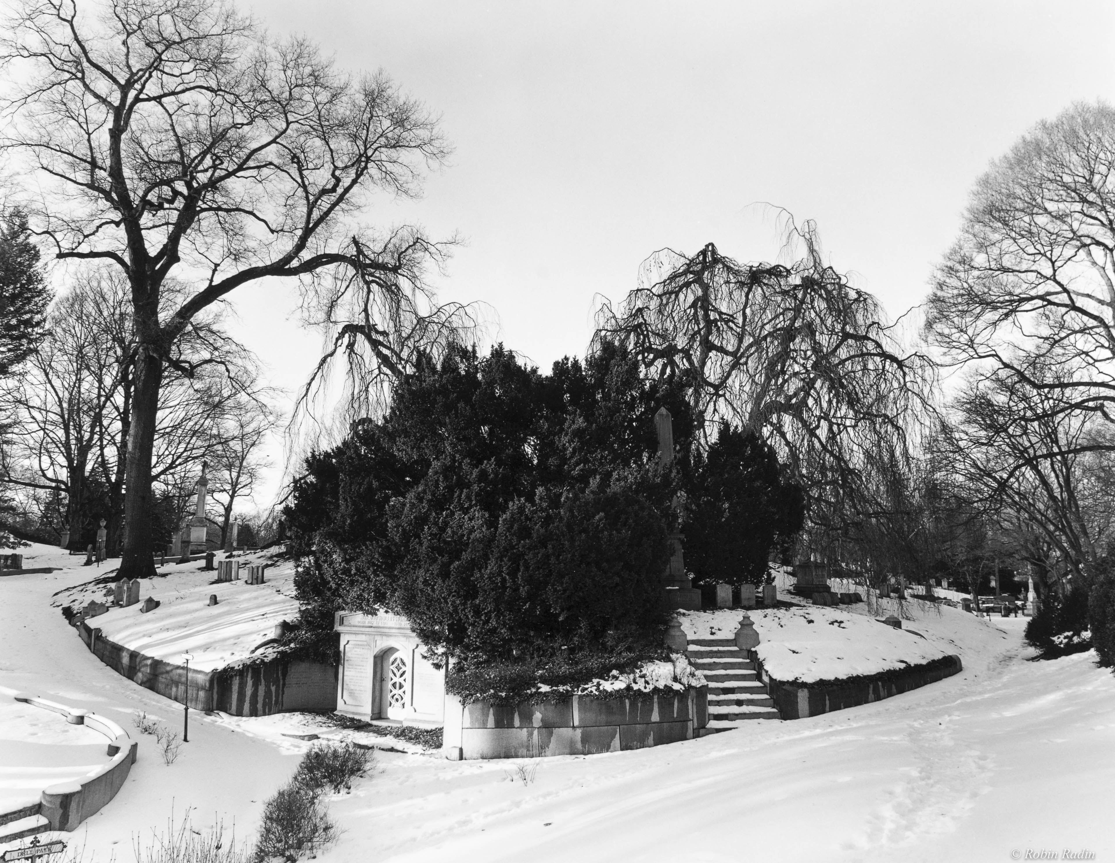 Winter Scene #1, Mount Auburn Cemetery, Cambridge, MA.