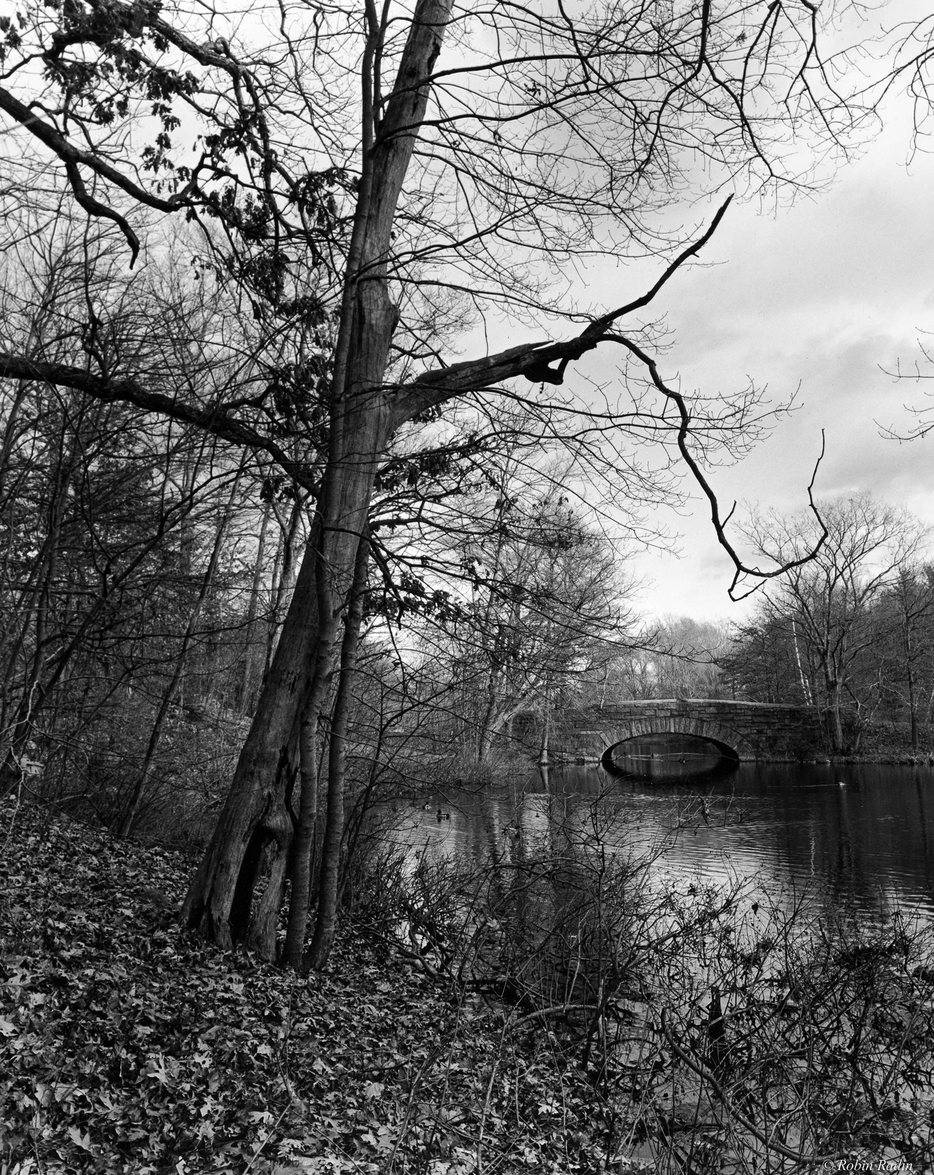Scarboro Pond, Franklin Park, Jamaica Plain, MA.