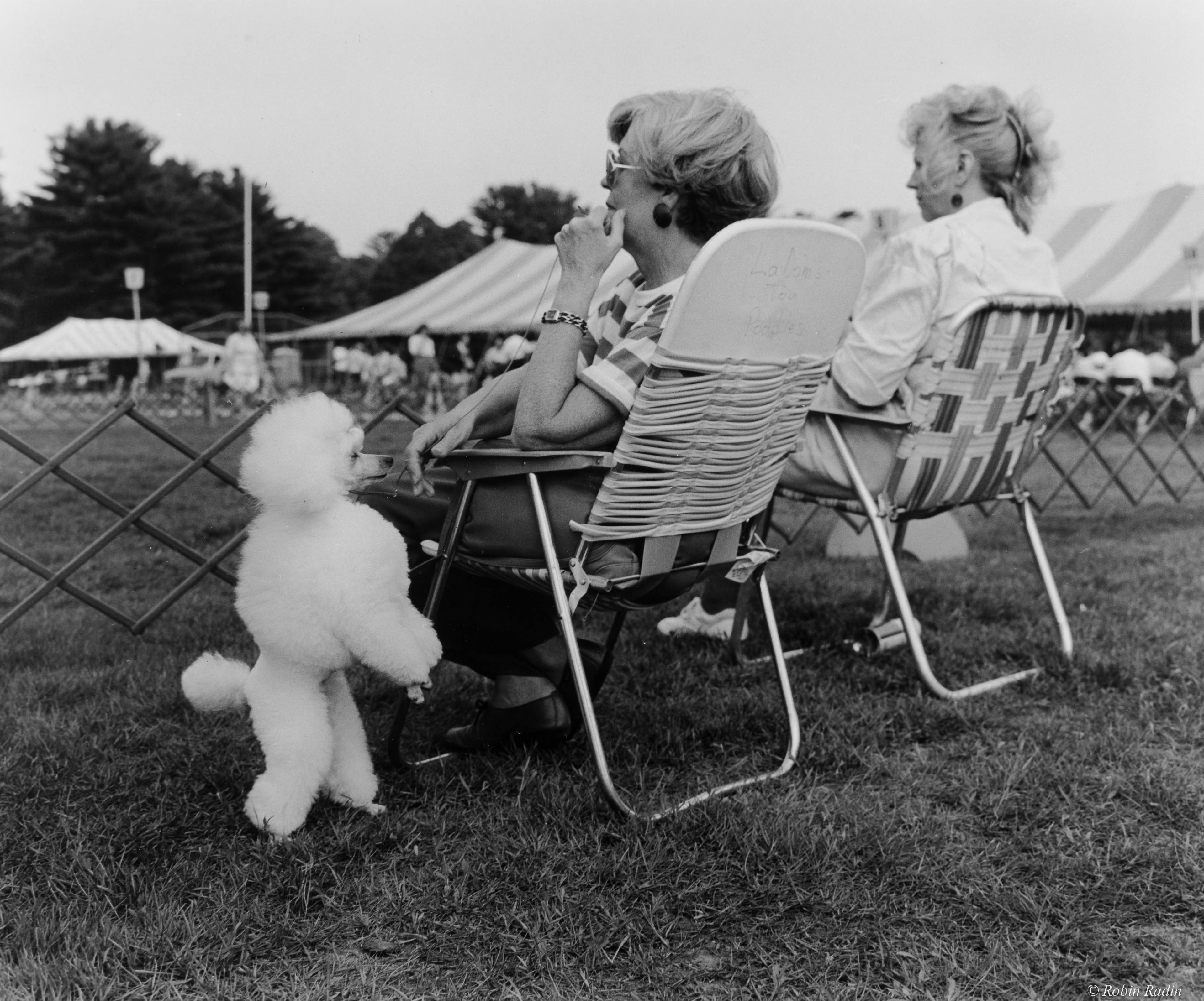 Spectators at Dog Show, Newton, MA.