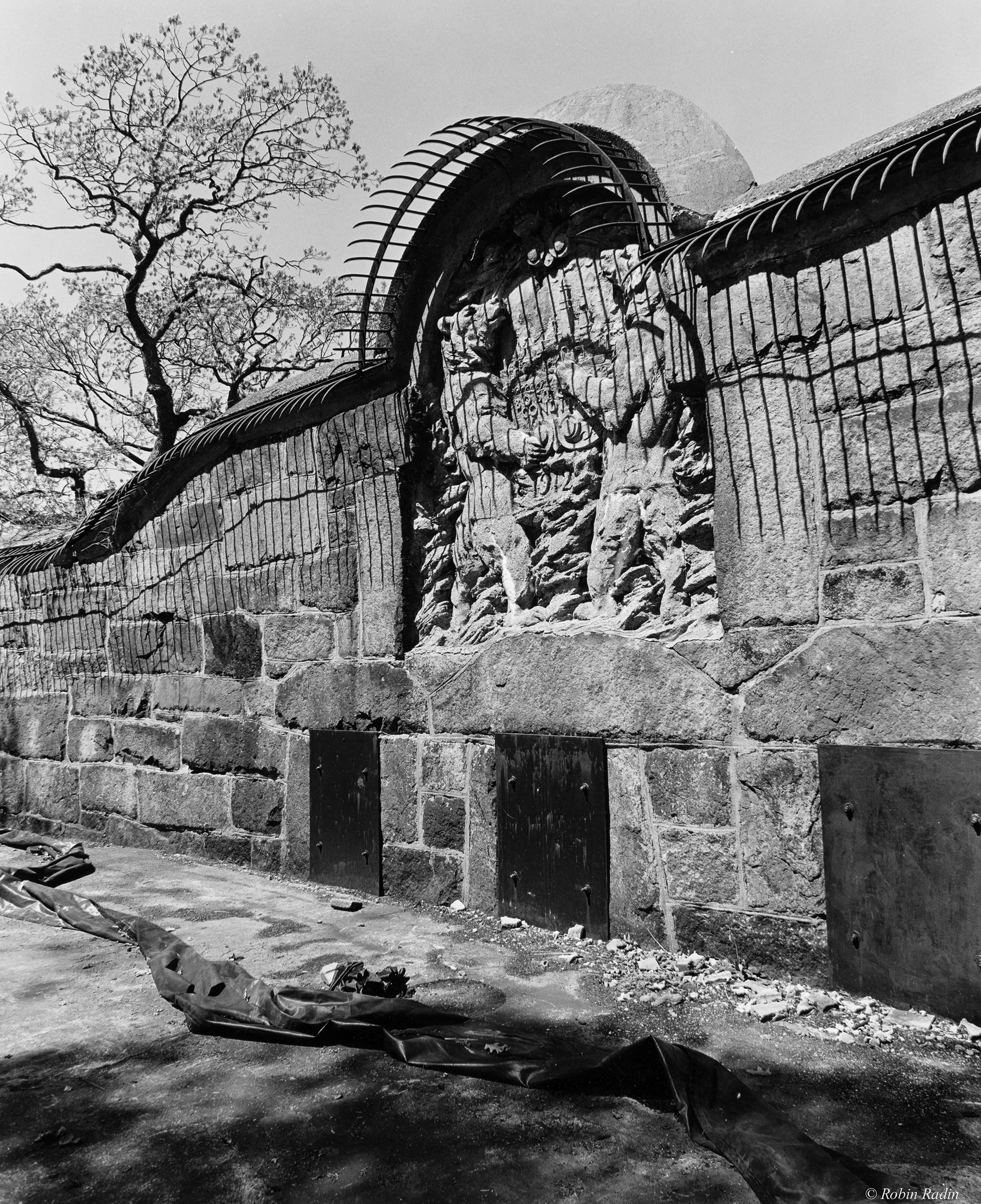 Bear Dens, Franklin Park, Jamaica Plain, MA.
