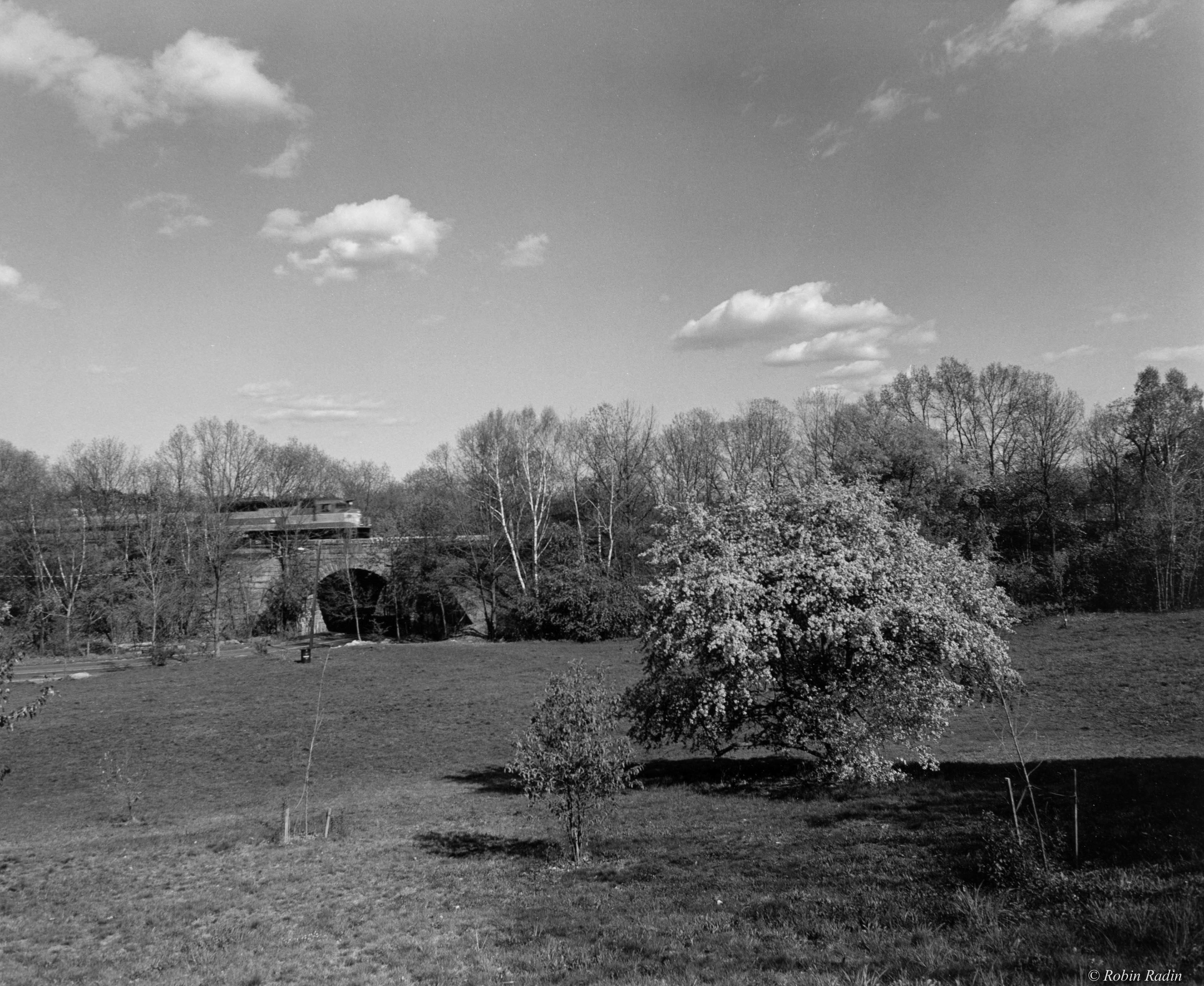 Peter’s Hill #1, Jamaica Plain, MA.