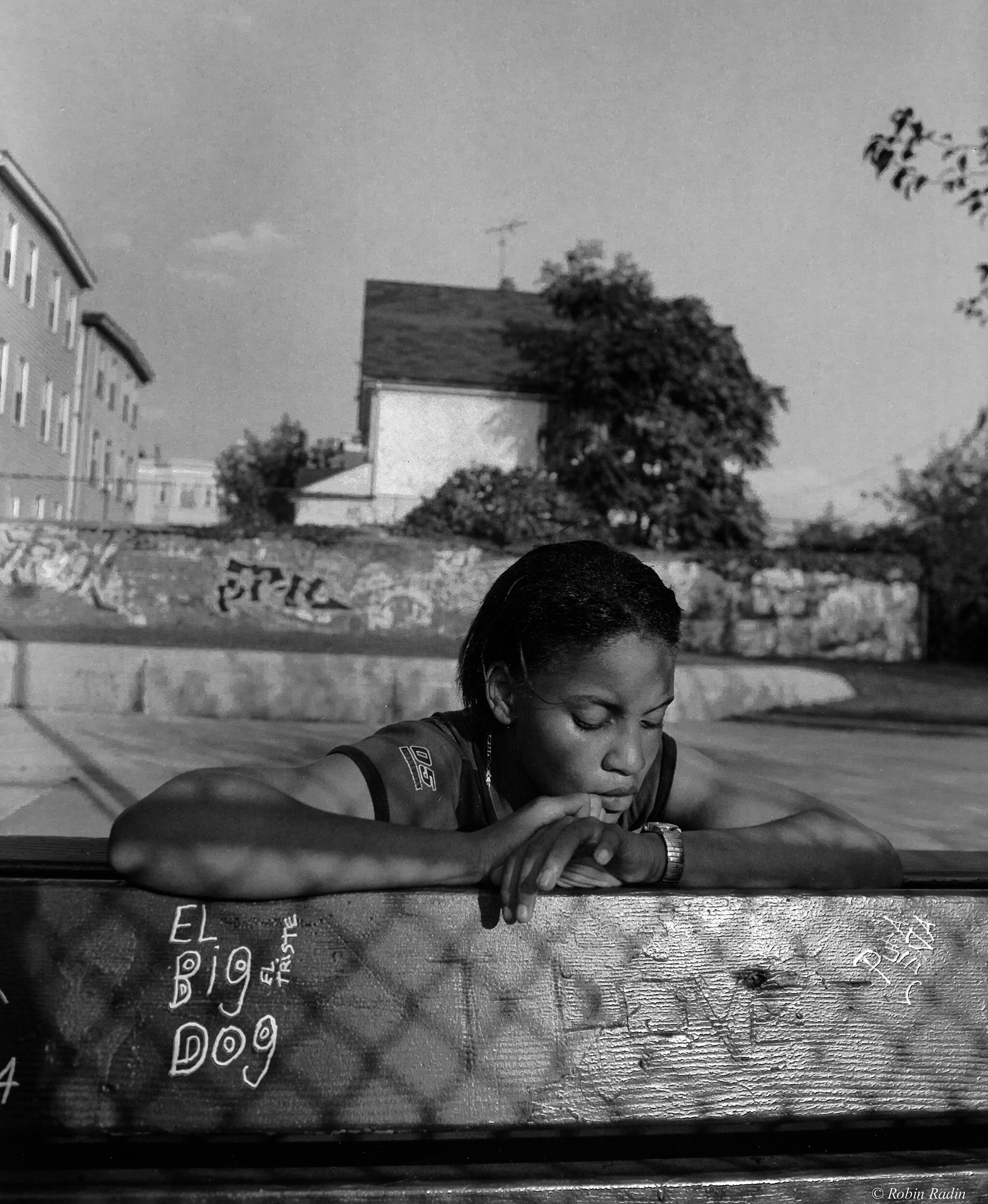 El Big Dog, Mozart Park, Jamaica Plain, MA.