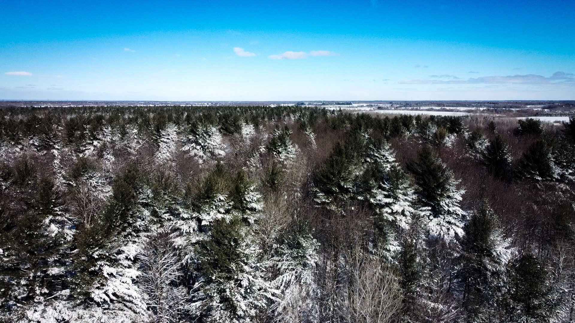 Photo de drone / 2021
