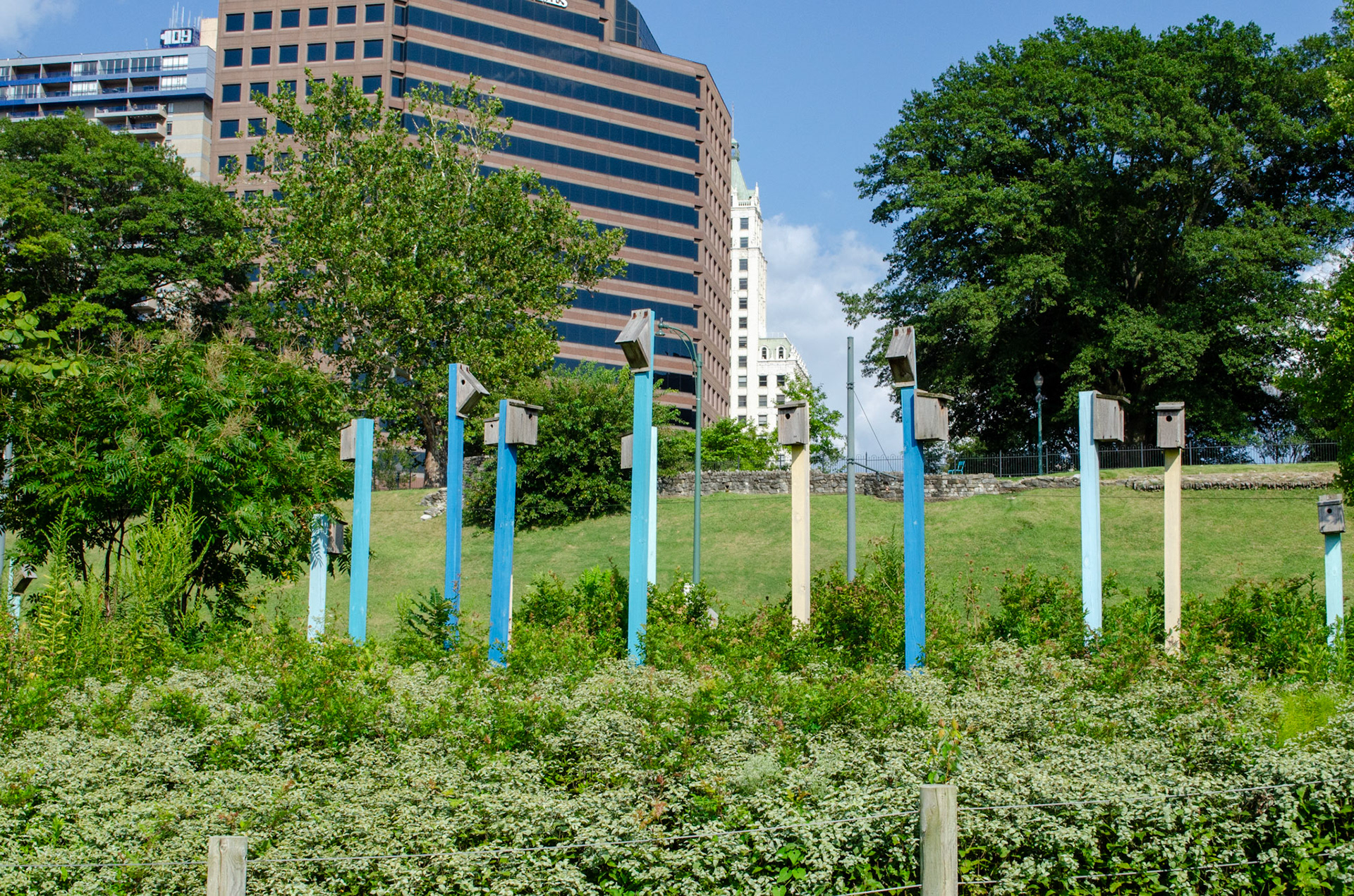 Fuglehuse i Memphis river park