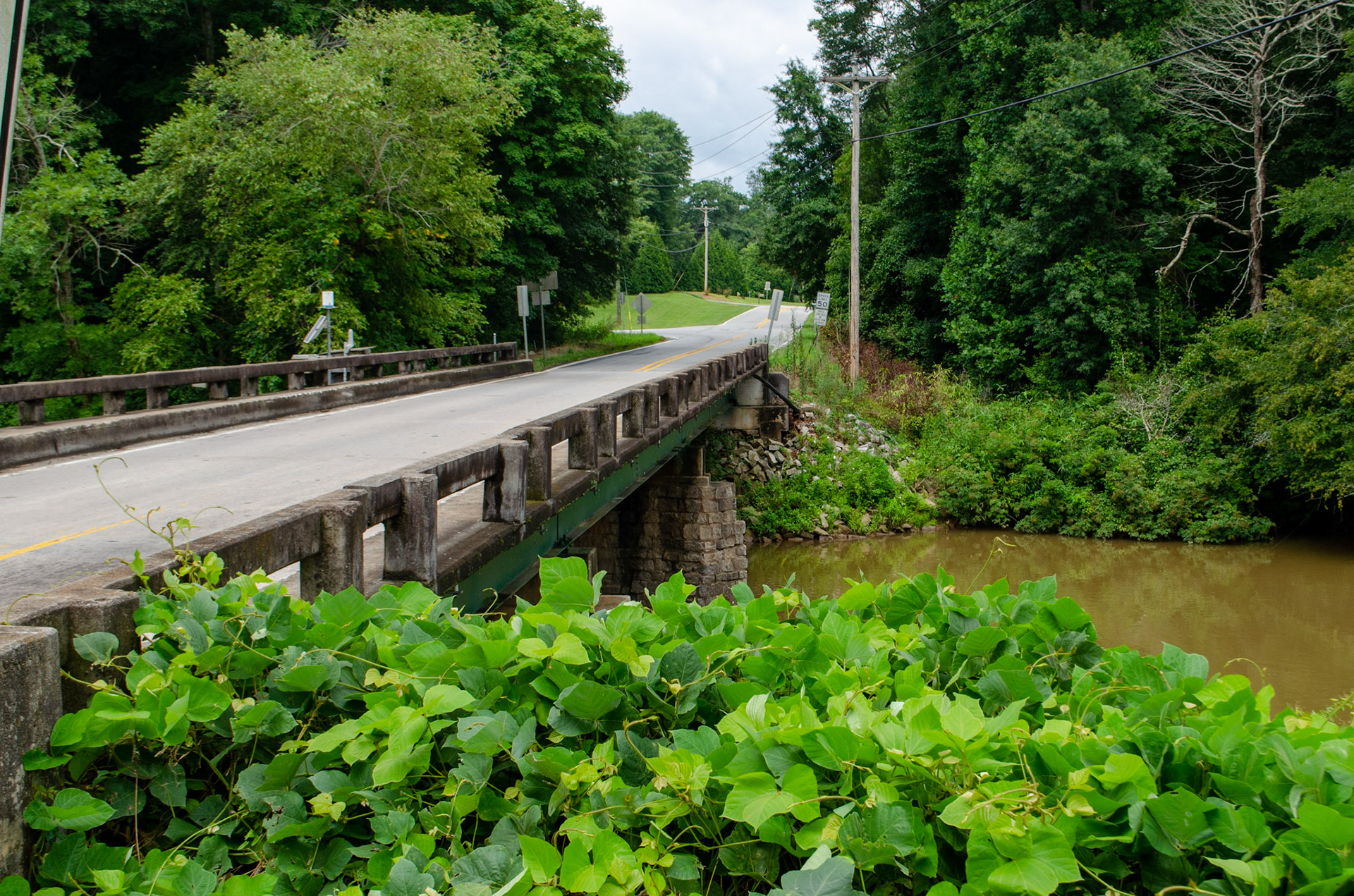 Wickery bridge hvor Elenas forældre døde