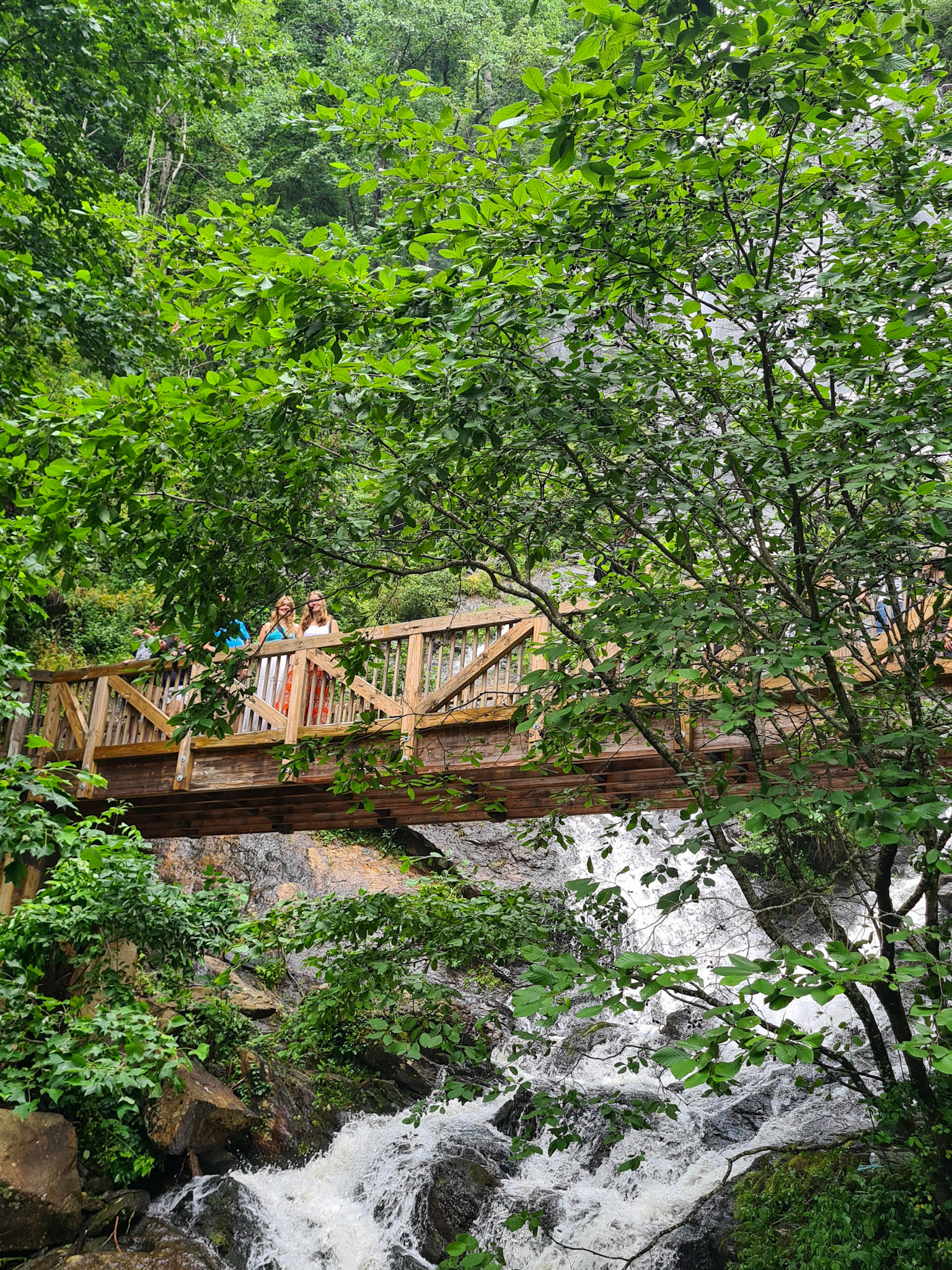 Amicalola falls