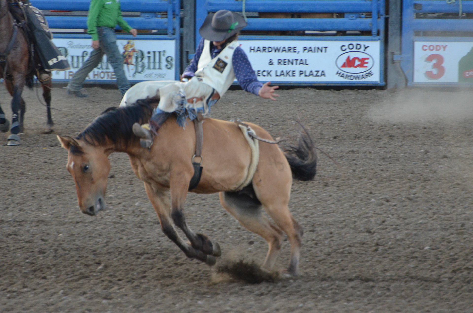 Cody night rodeo