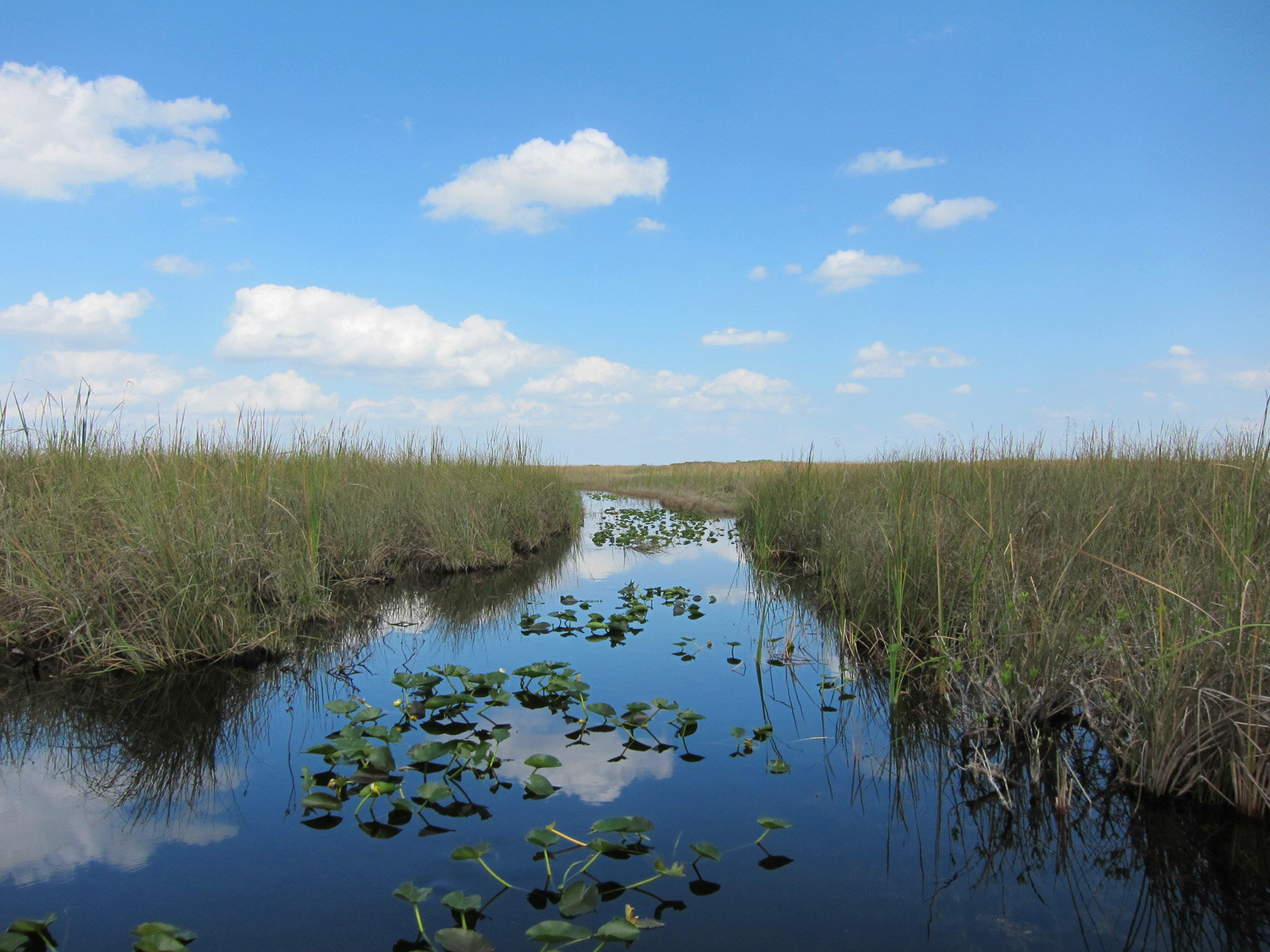 Everglades