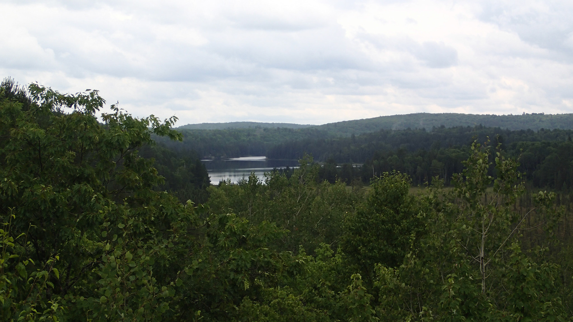 Udsigt over Algonquin