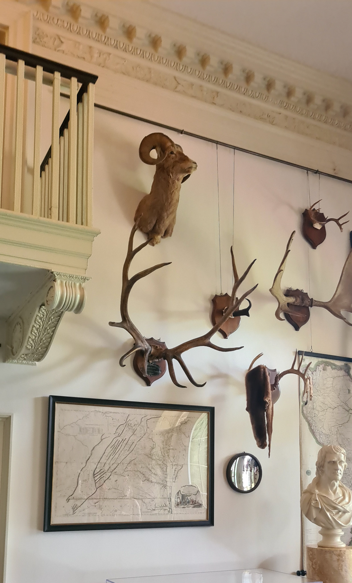 Lidt pynt på væggen i entréen på Monticello. Den var indrettet med ting som skulle lære gæsterne om kunst, historie og kultur fra hele verden.