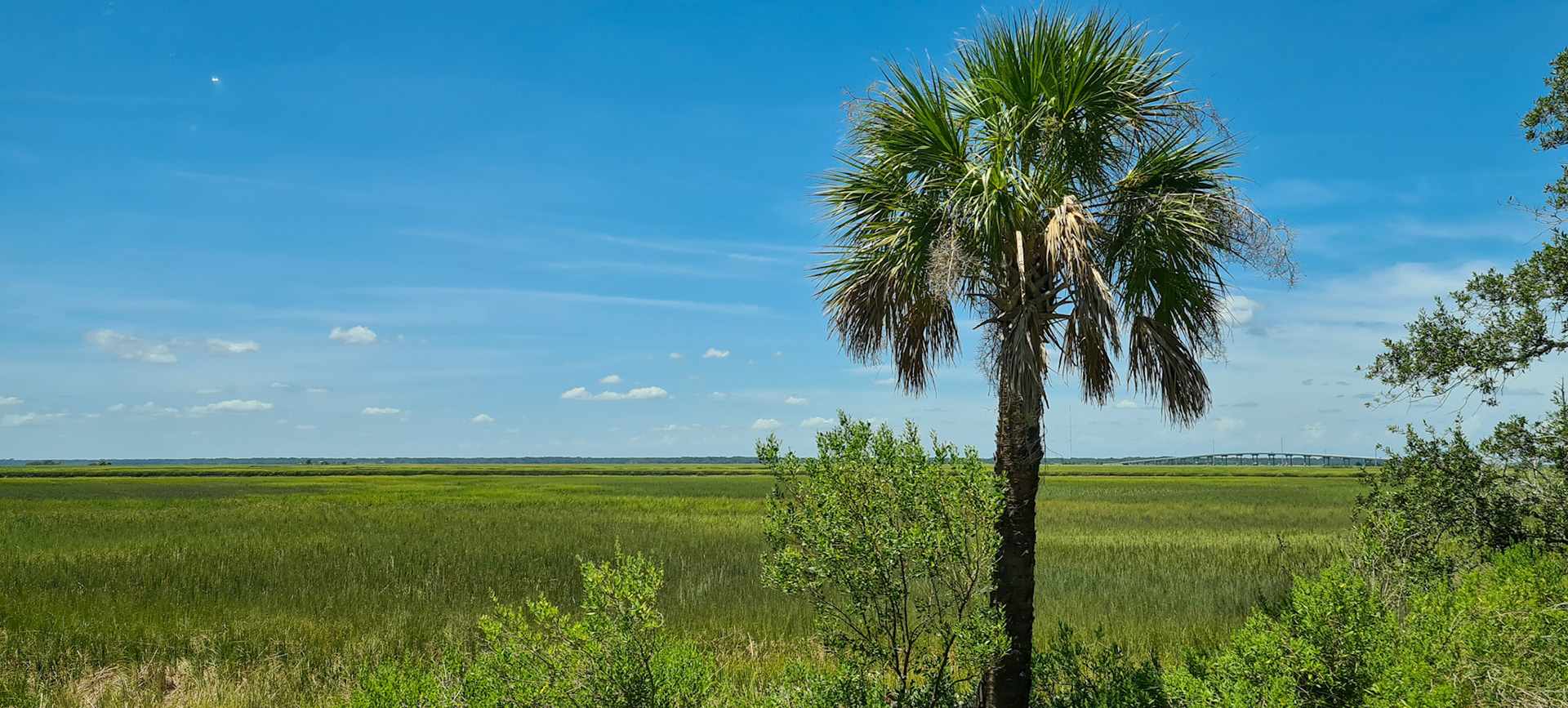 Udsigt på vejen til Charleston