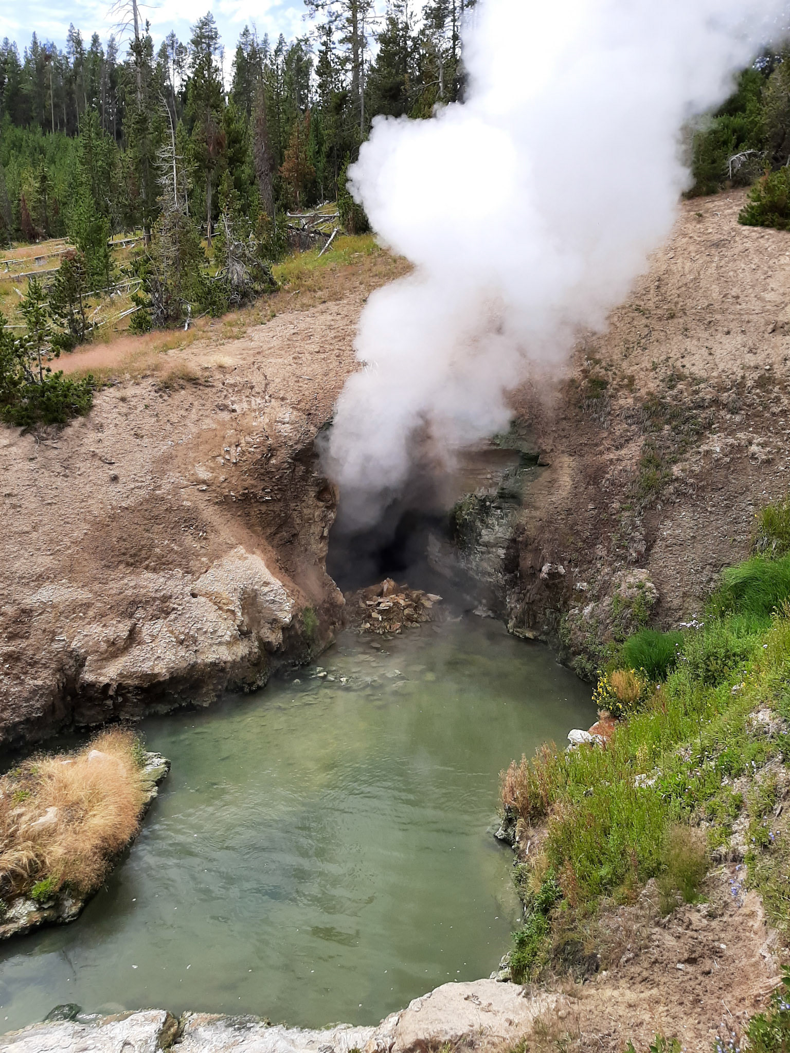 Dragons mouth