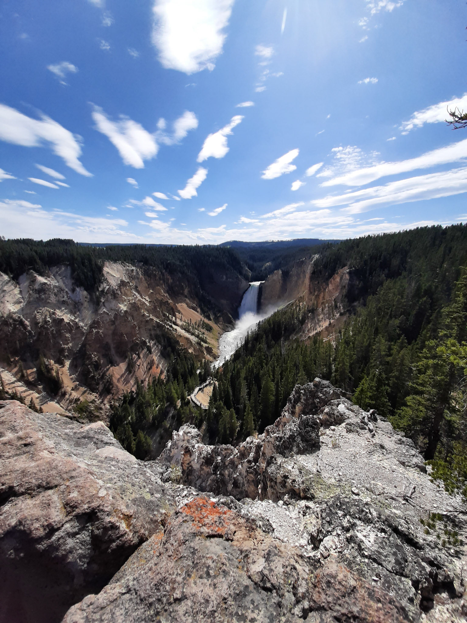 Lower Falls/Grand Canyon of Yellowstone