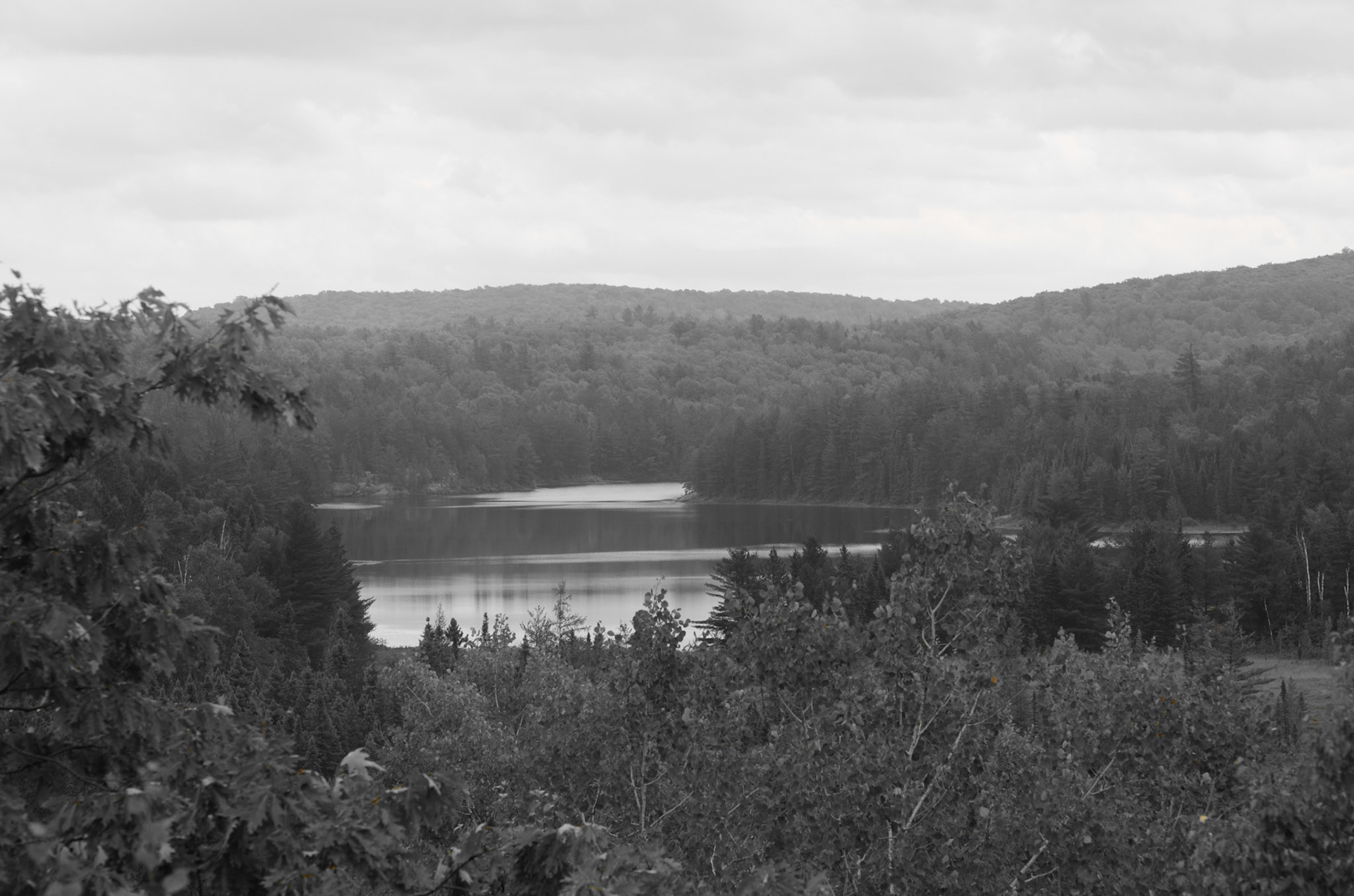Algonquin udsigt