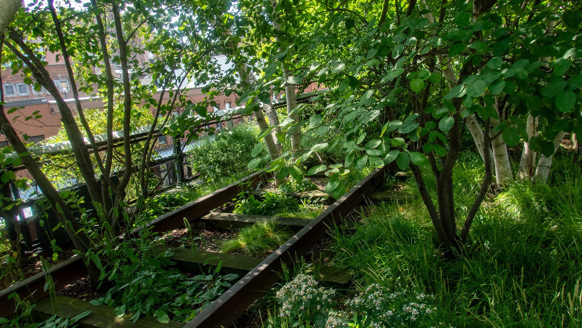 De gamle togskinner på High Line
