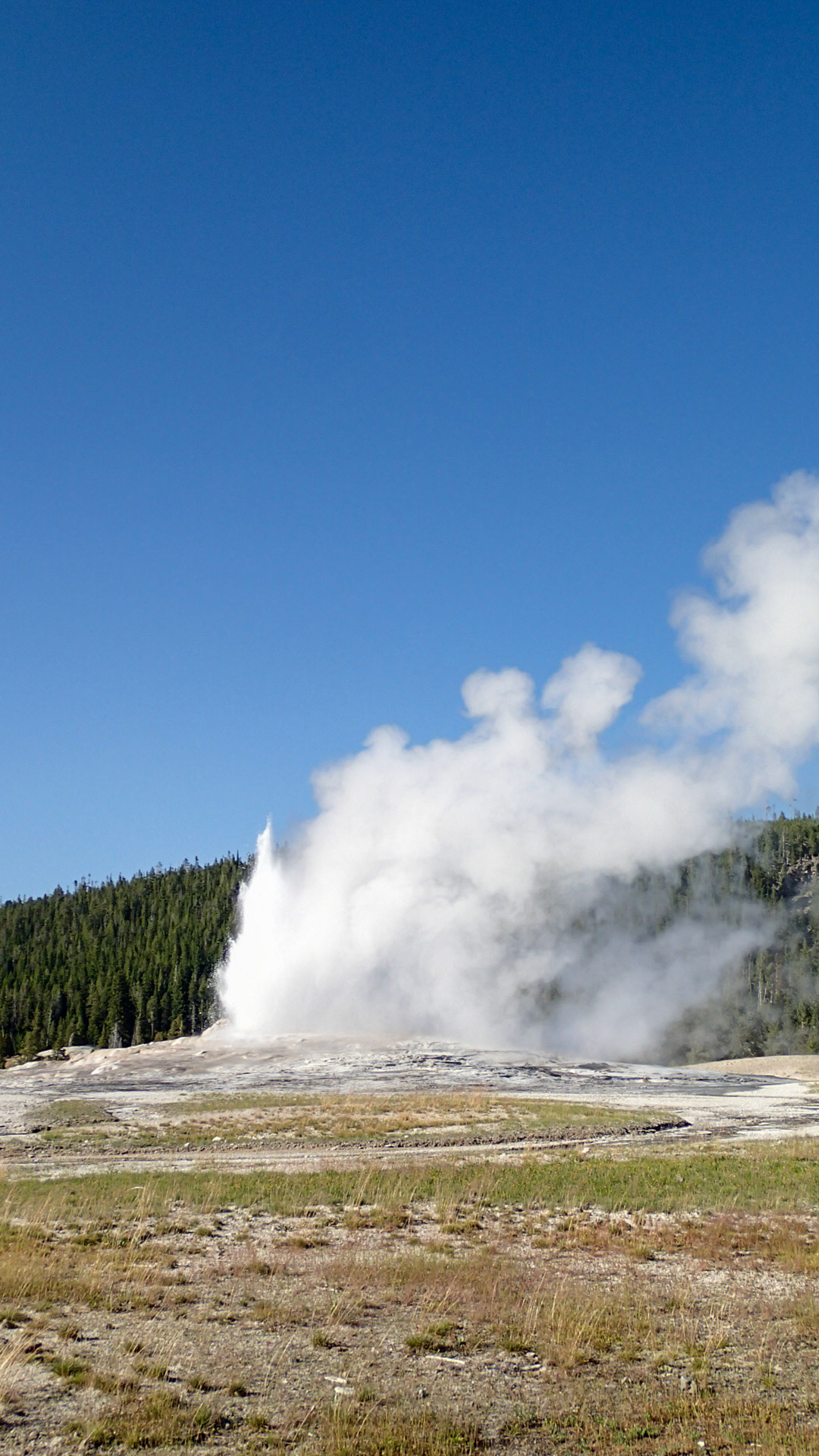 Damp fra Old Faithful geyser - mens vi venter på eruption