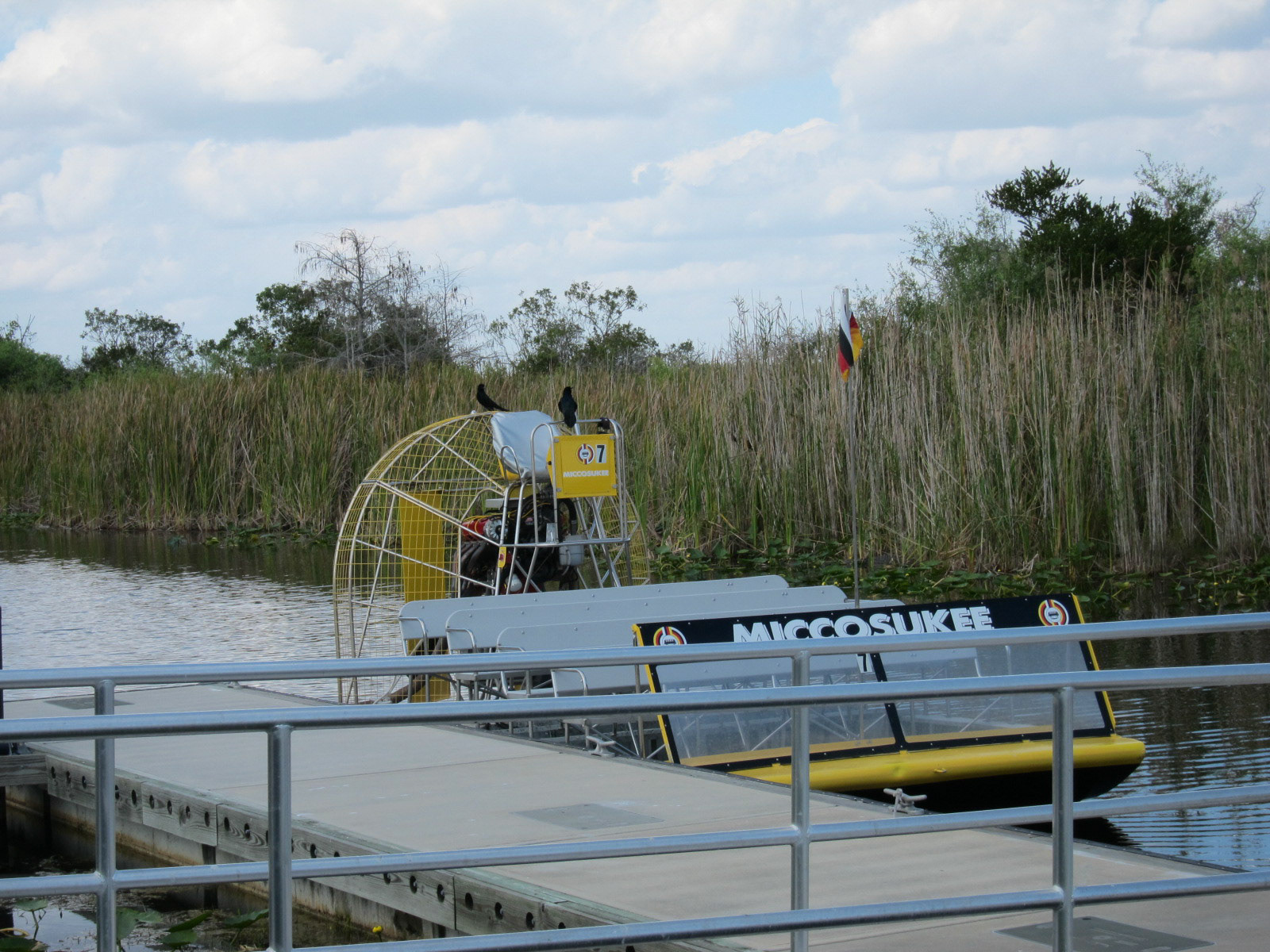 Airboat i Miccosukee