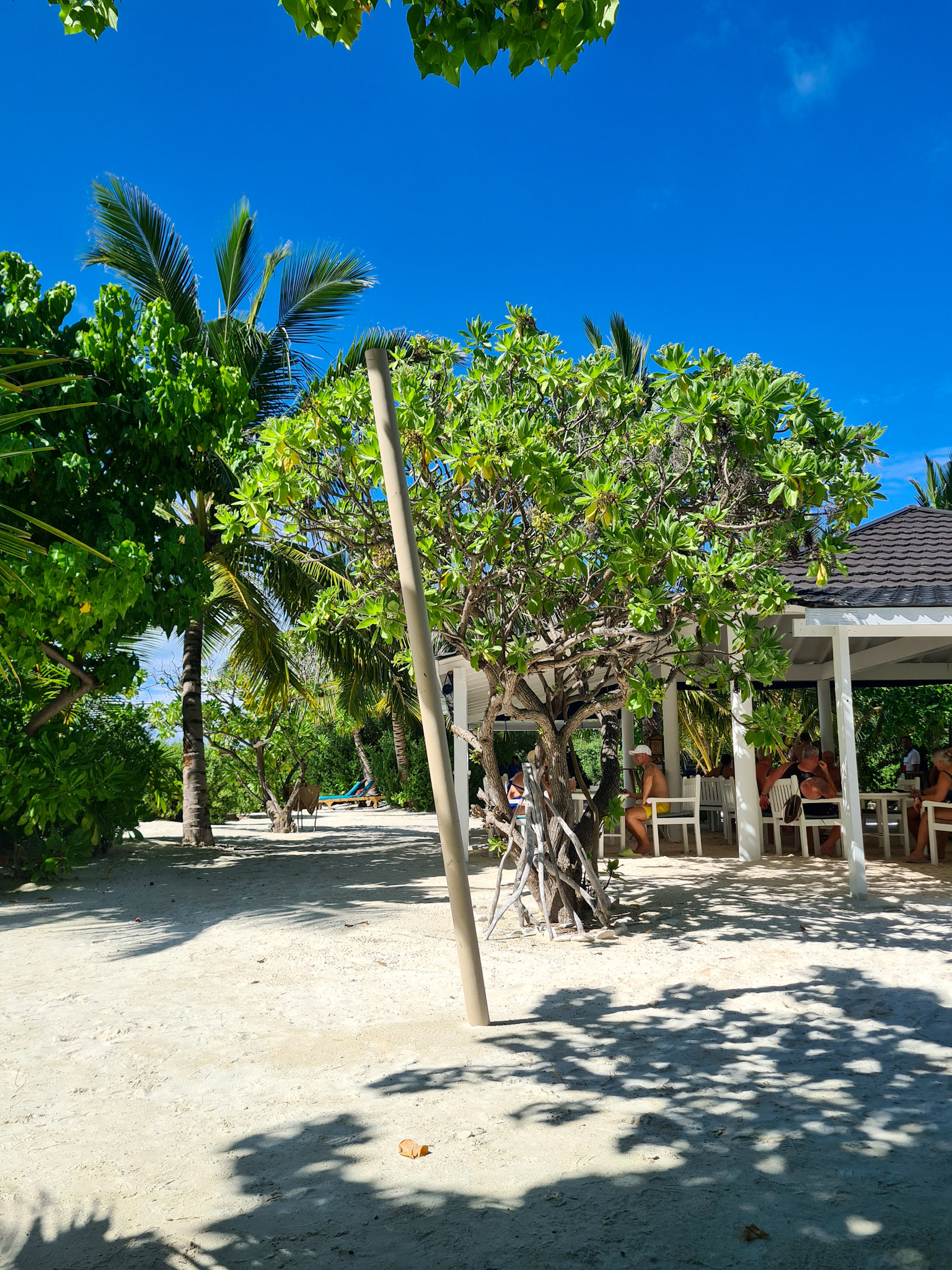 Strandbaren på snorklestranden