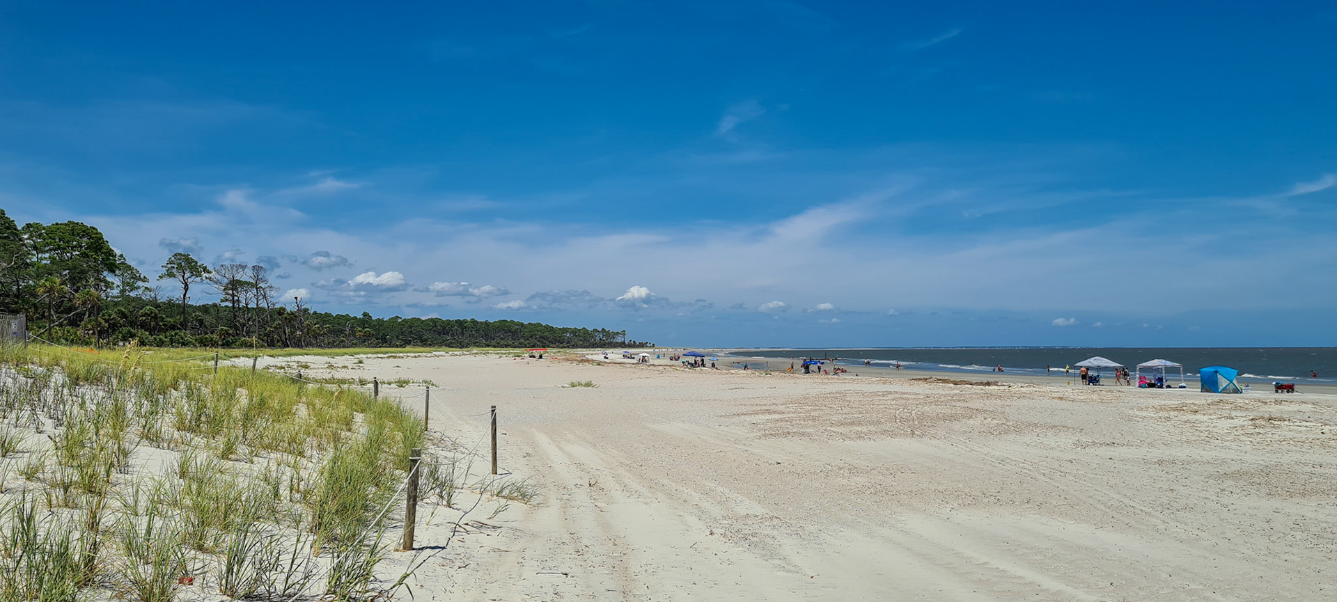 Stranden på hunting island - skildpadder lægger æg her, så de sætter hegn op for at passe på rederne.