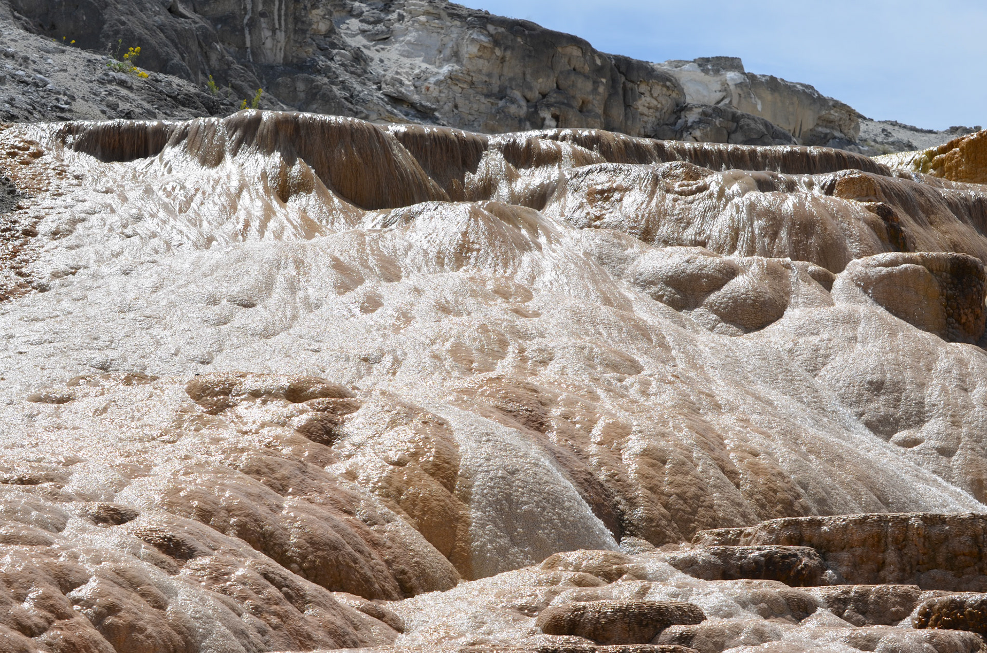 Mammoth hot springs