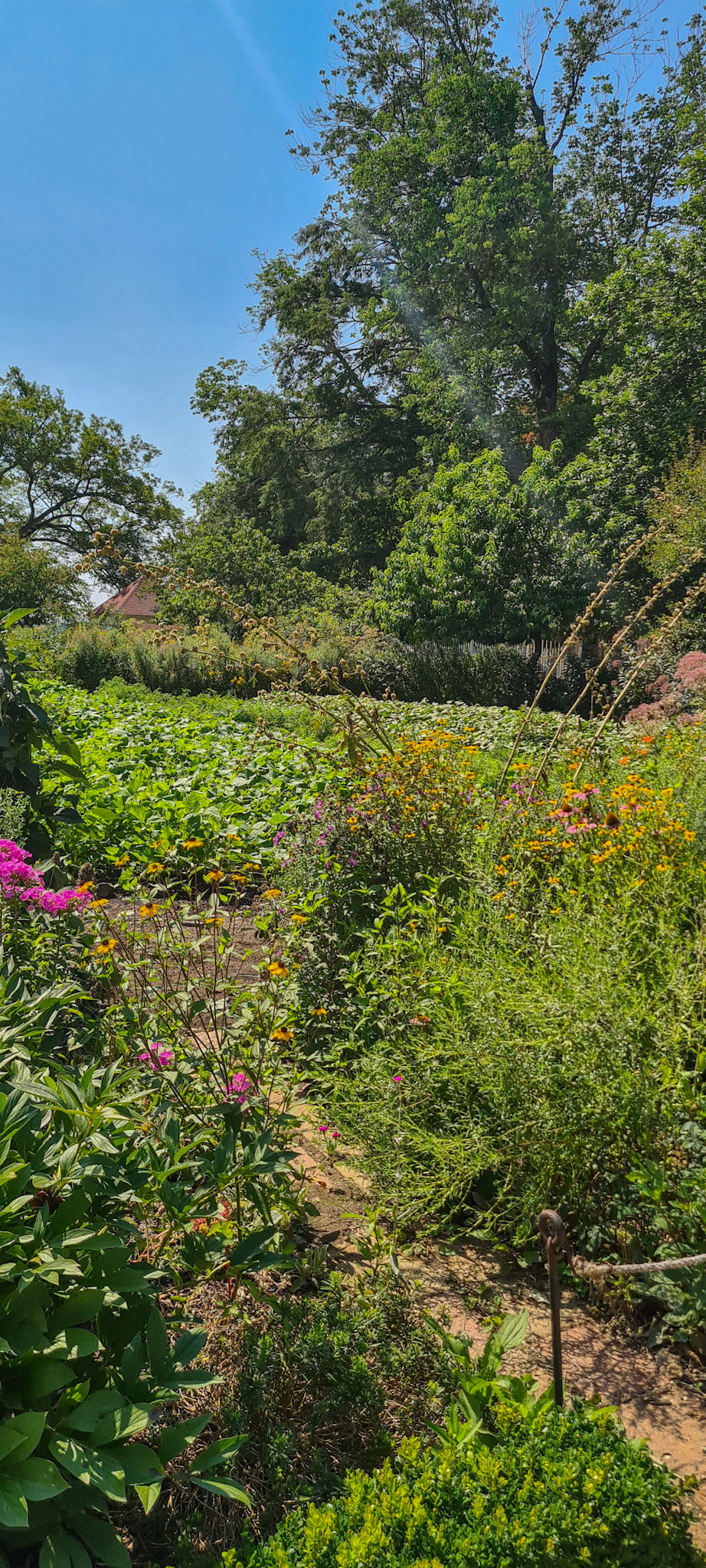 Lidt af blomsterhaven på Mount Vernon