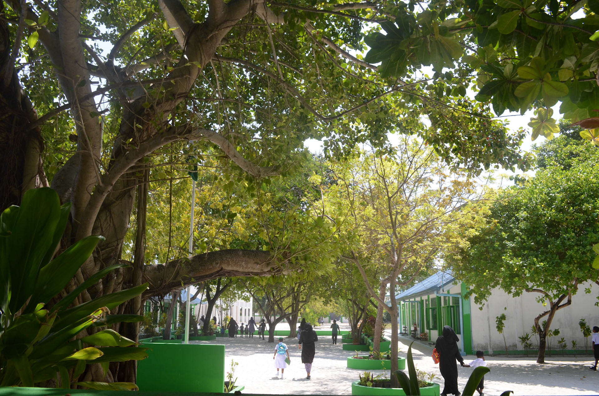Dhiffushi skole