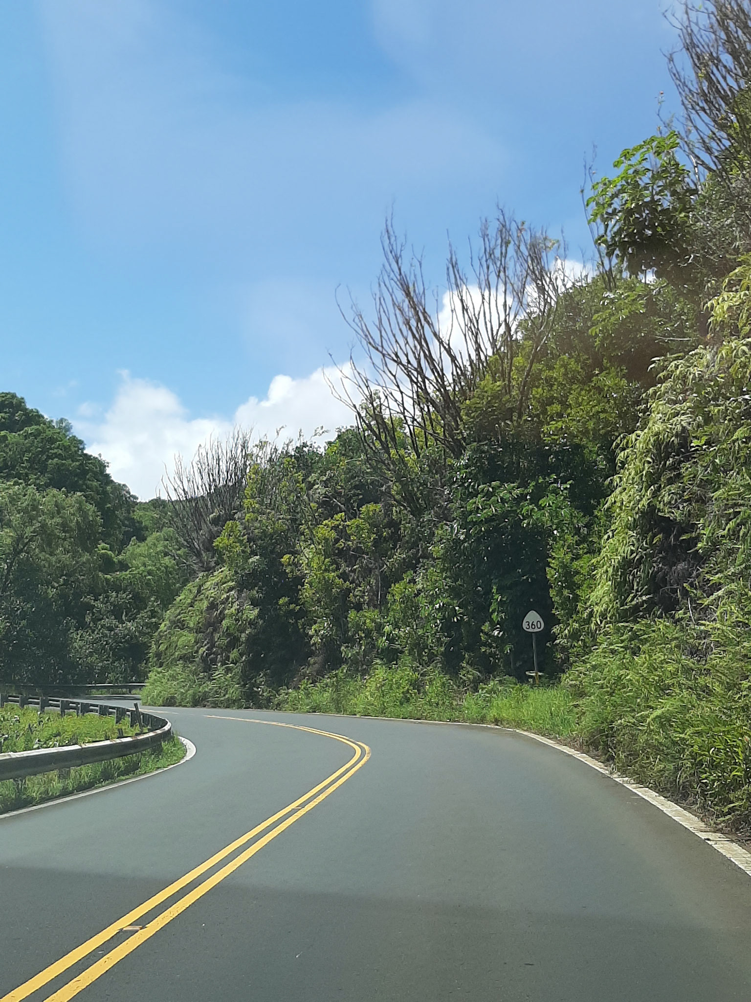 Road to Hana