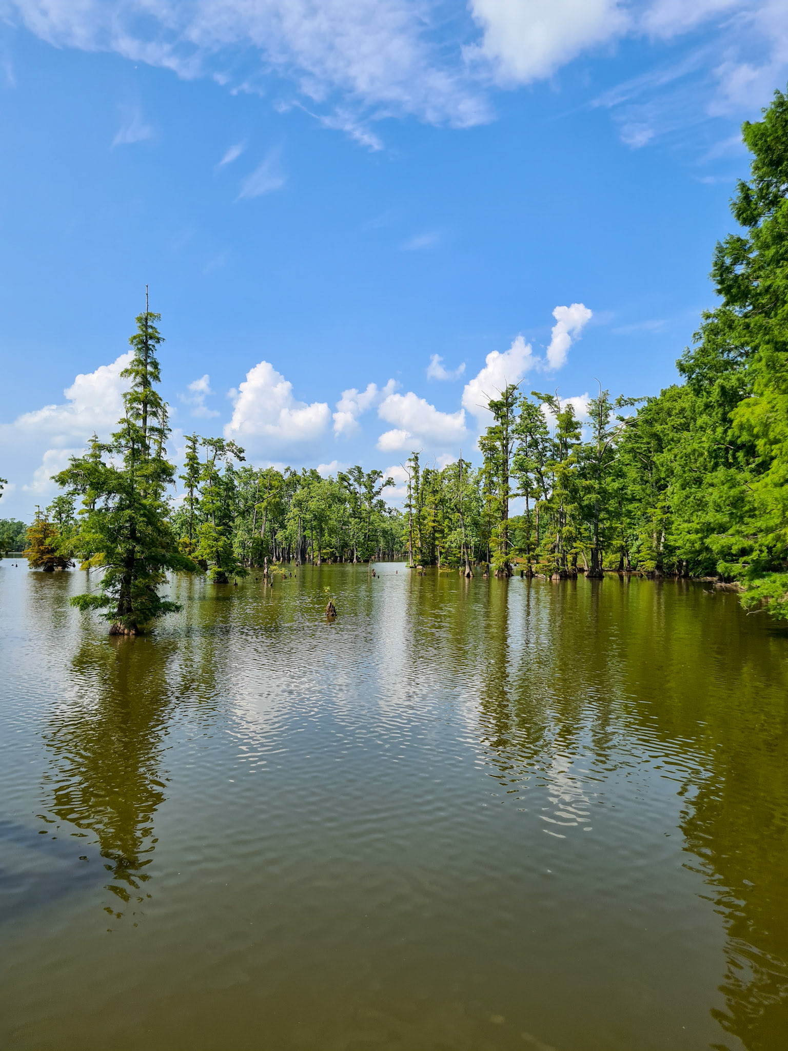 Horseshoe lake