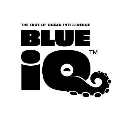 Logo for BLUE iQ