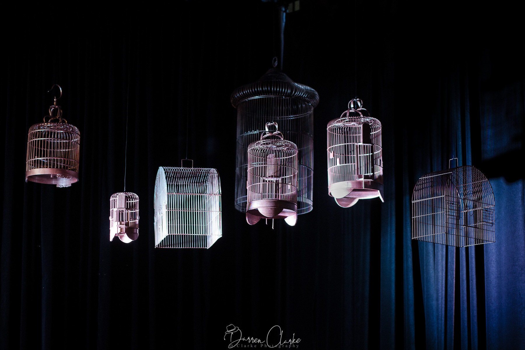 The Bird Cages