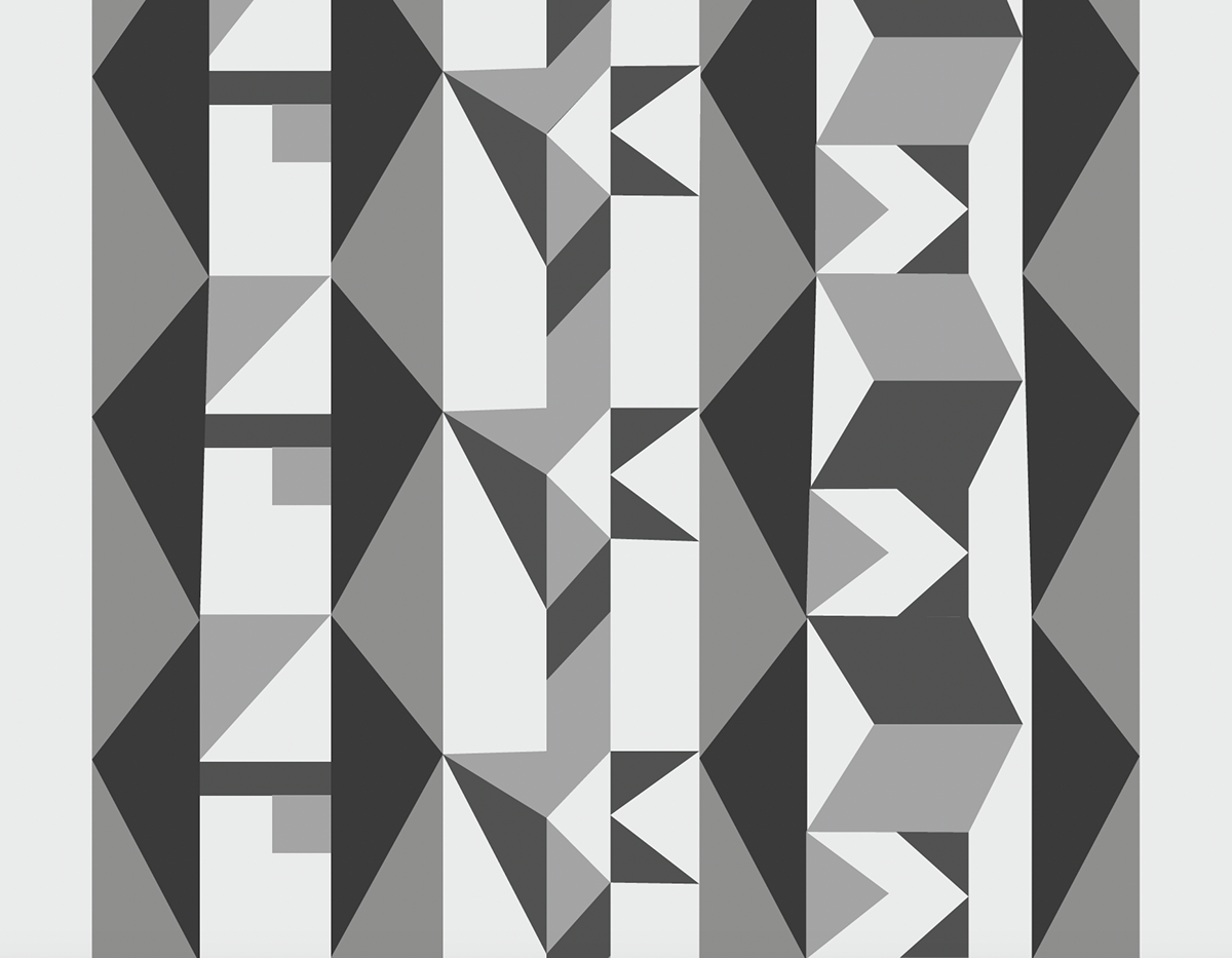 Digital Rough 1 (black and white)