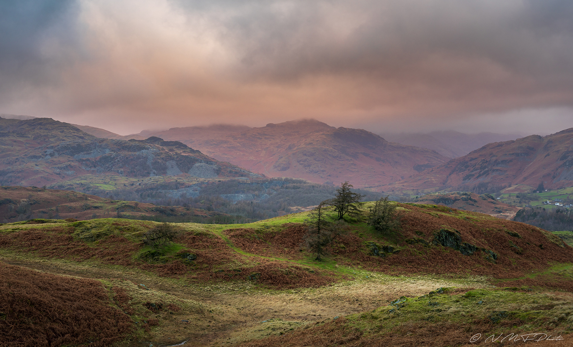 Black Crag - Tarn Hows - Ambleside