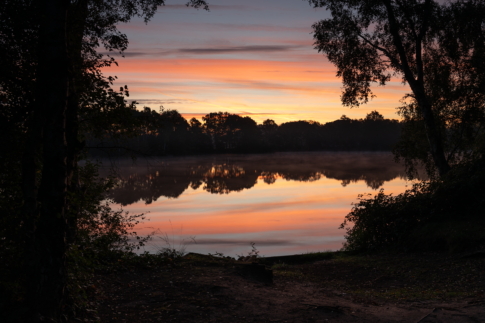 Dovemere Sunrise