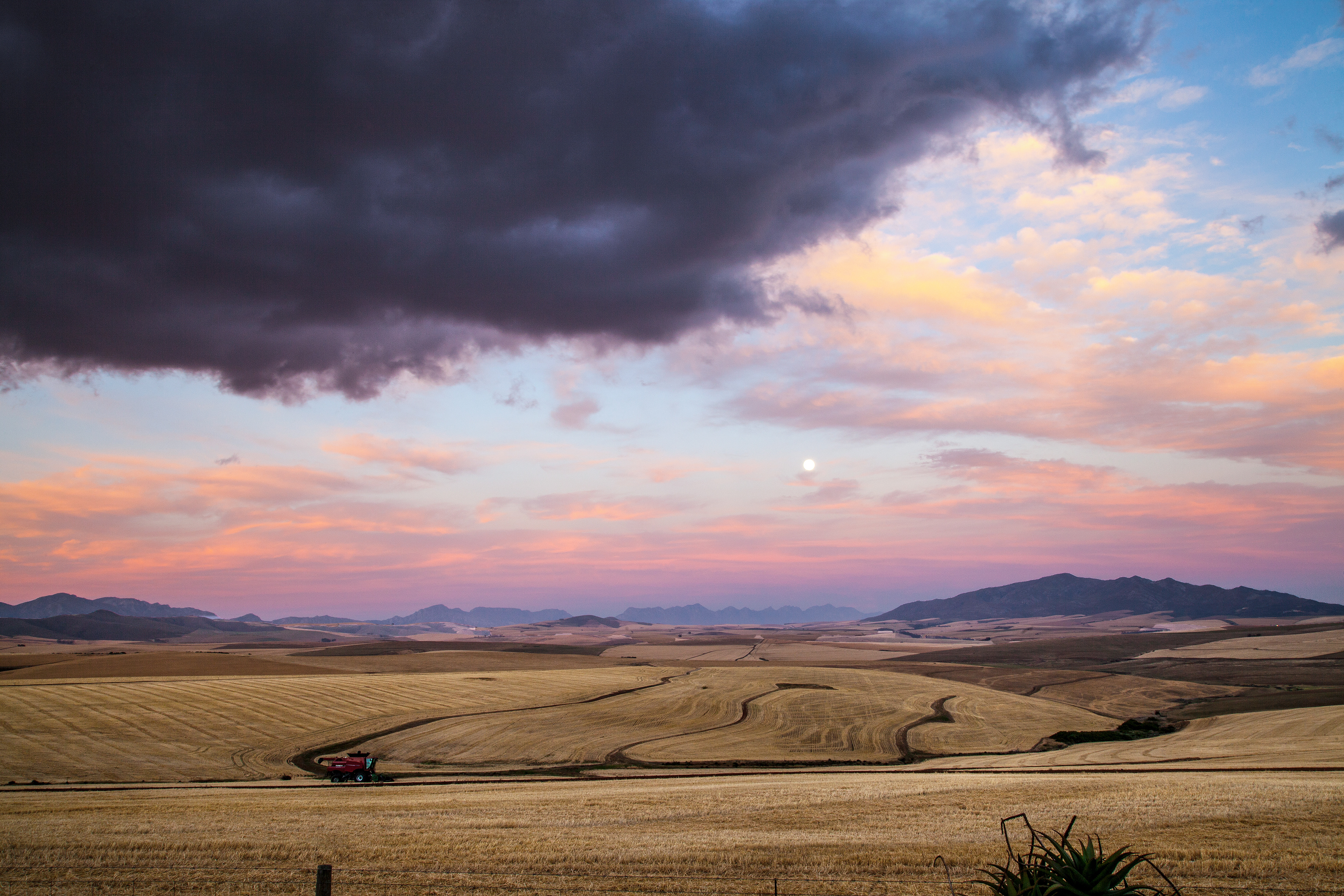 Colorful RoadTrip, South Africa