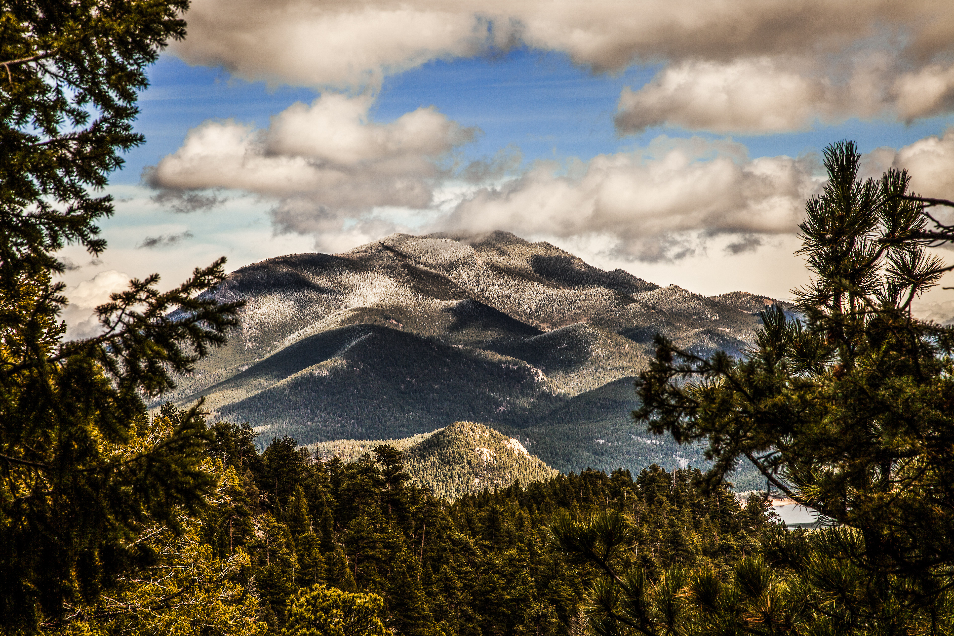 Colorado Trail's View Segment 4