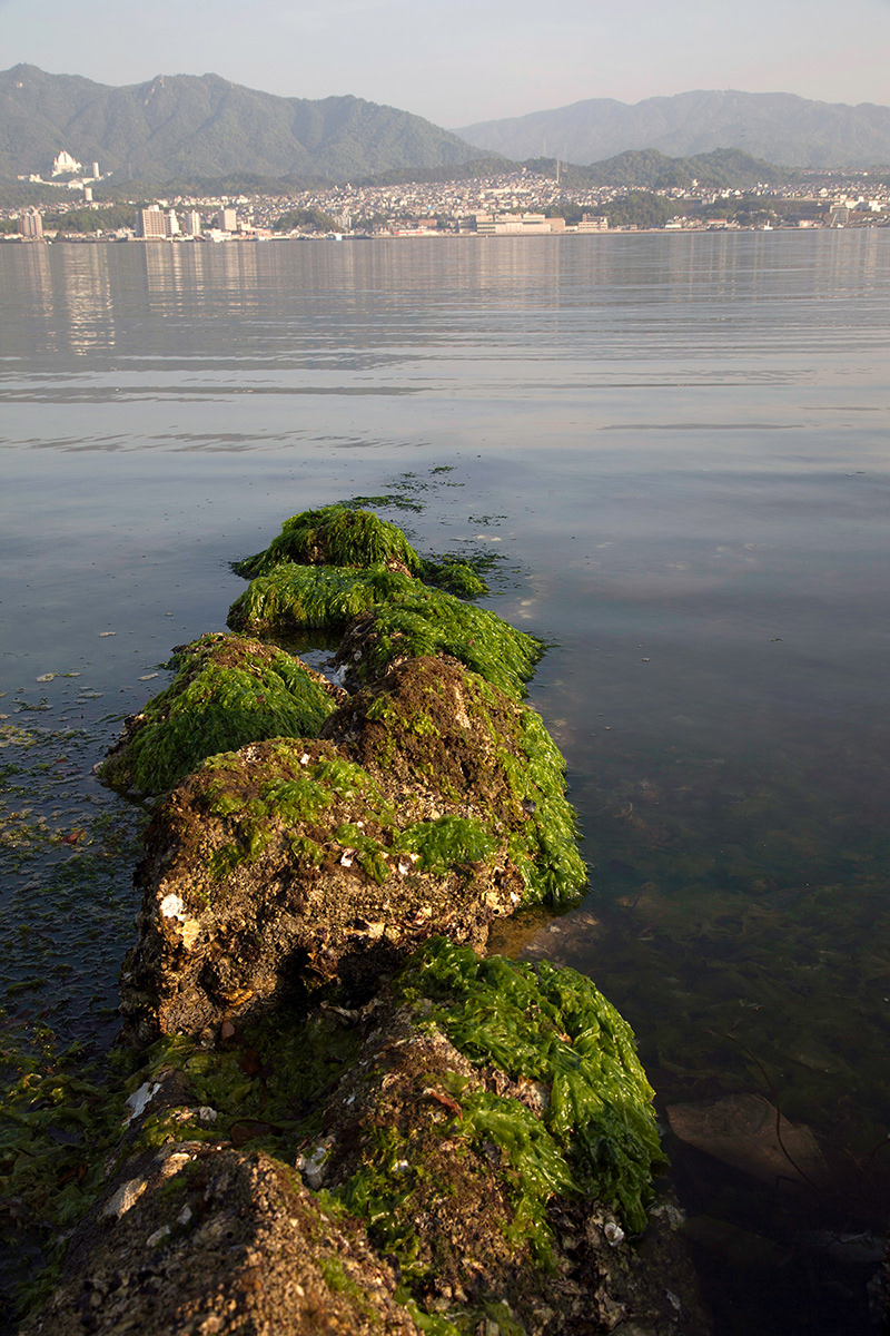 Miyajima, Japan Water Rocks  