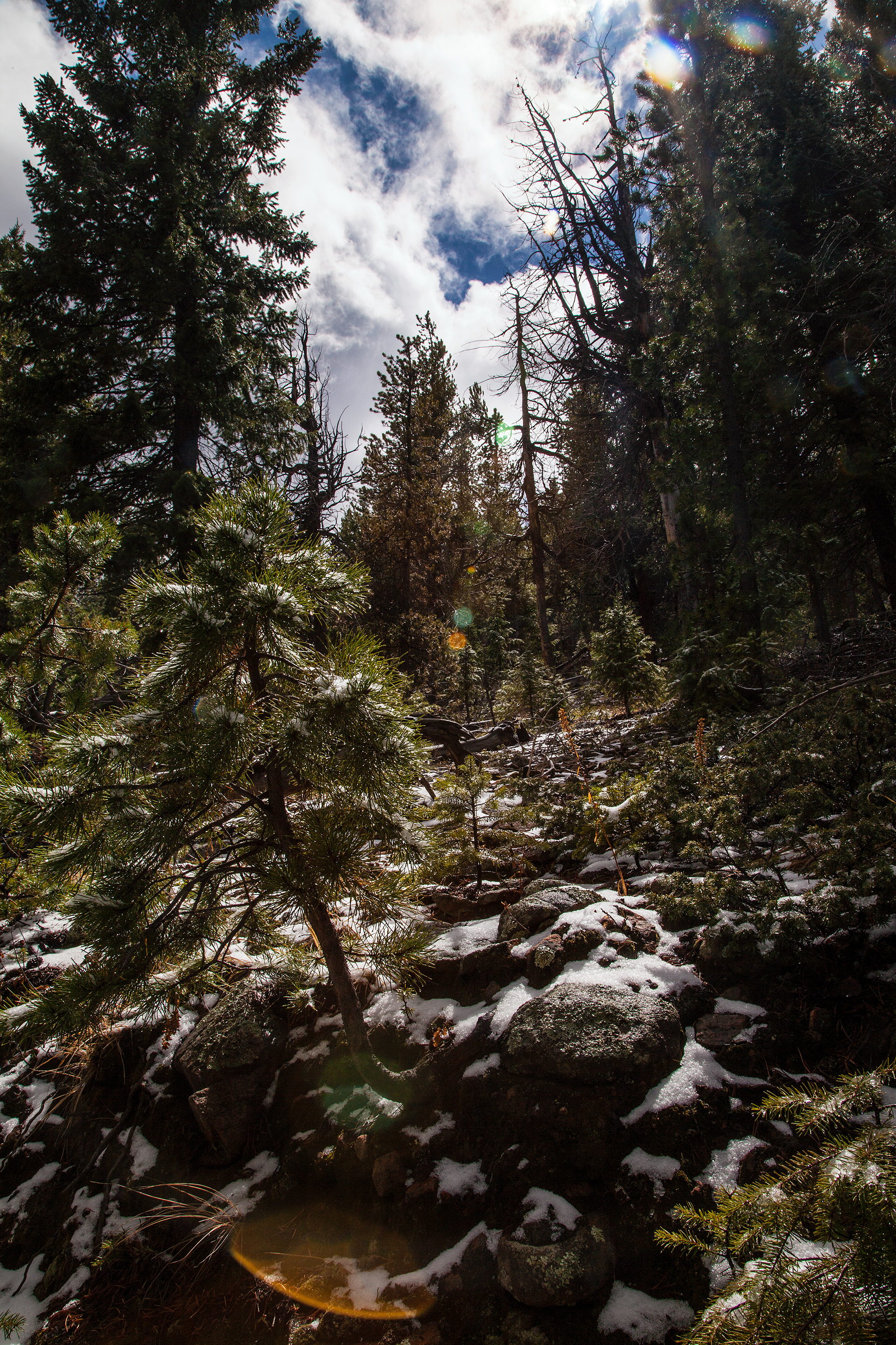 Colorado Trail's Segment 3