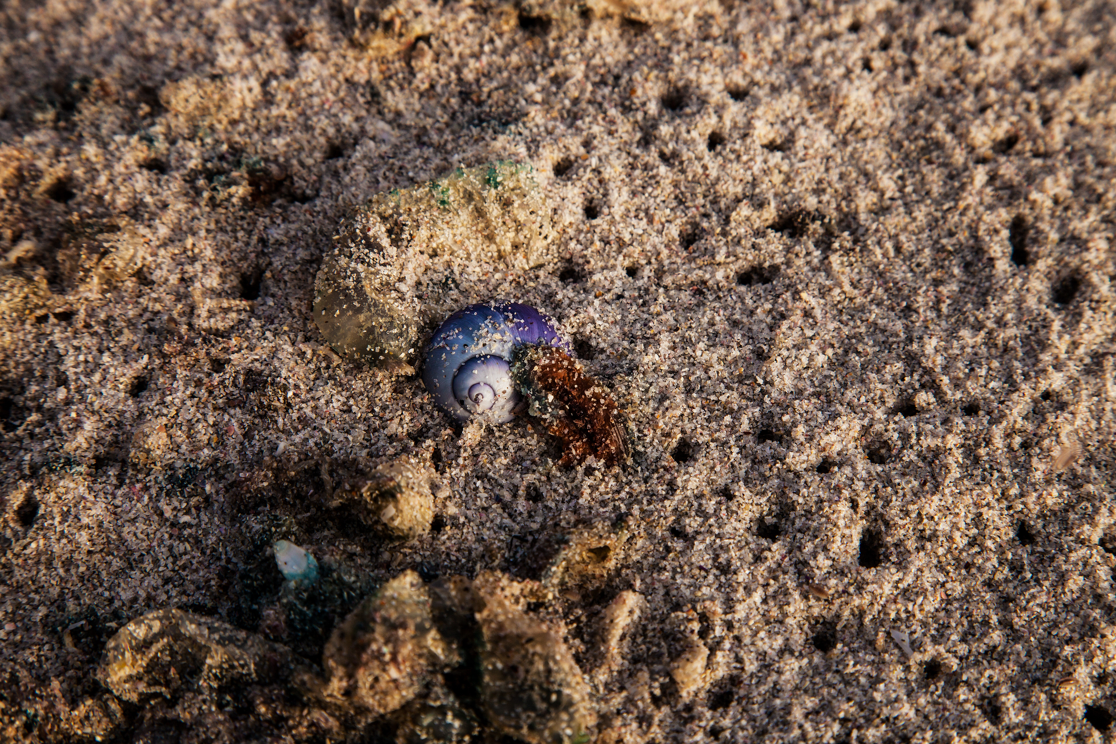 Out on the Sea, South Africa