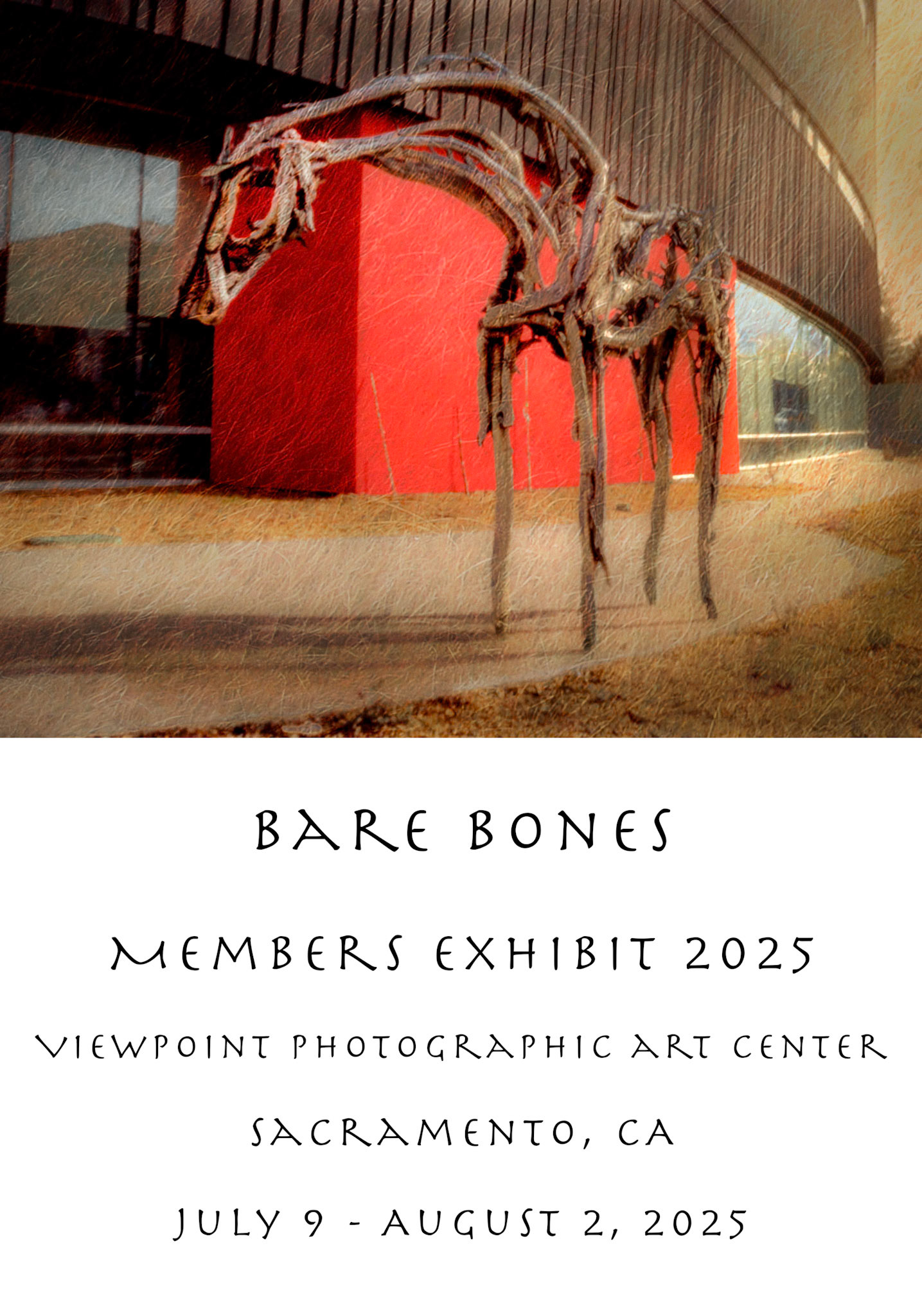 Bare Bones Pinhole