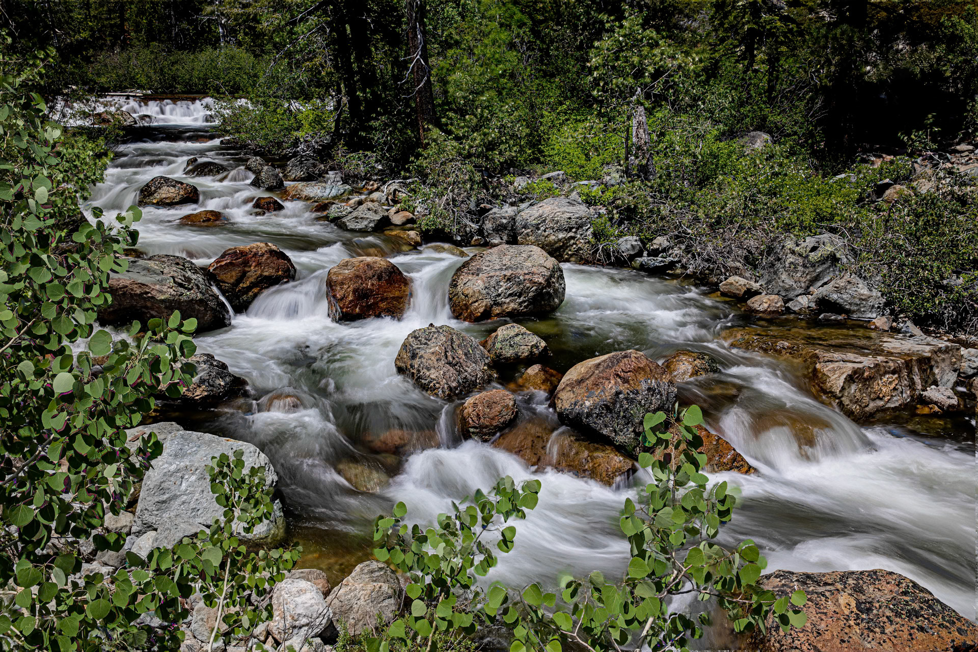 Salmon Creek