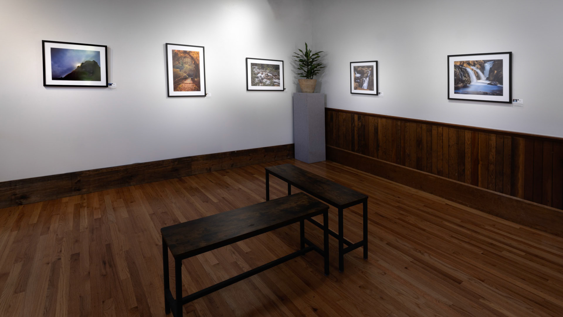 Gallery View 3