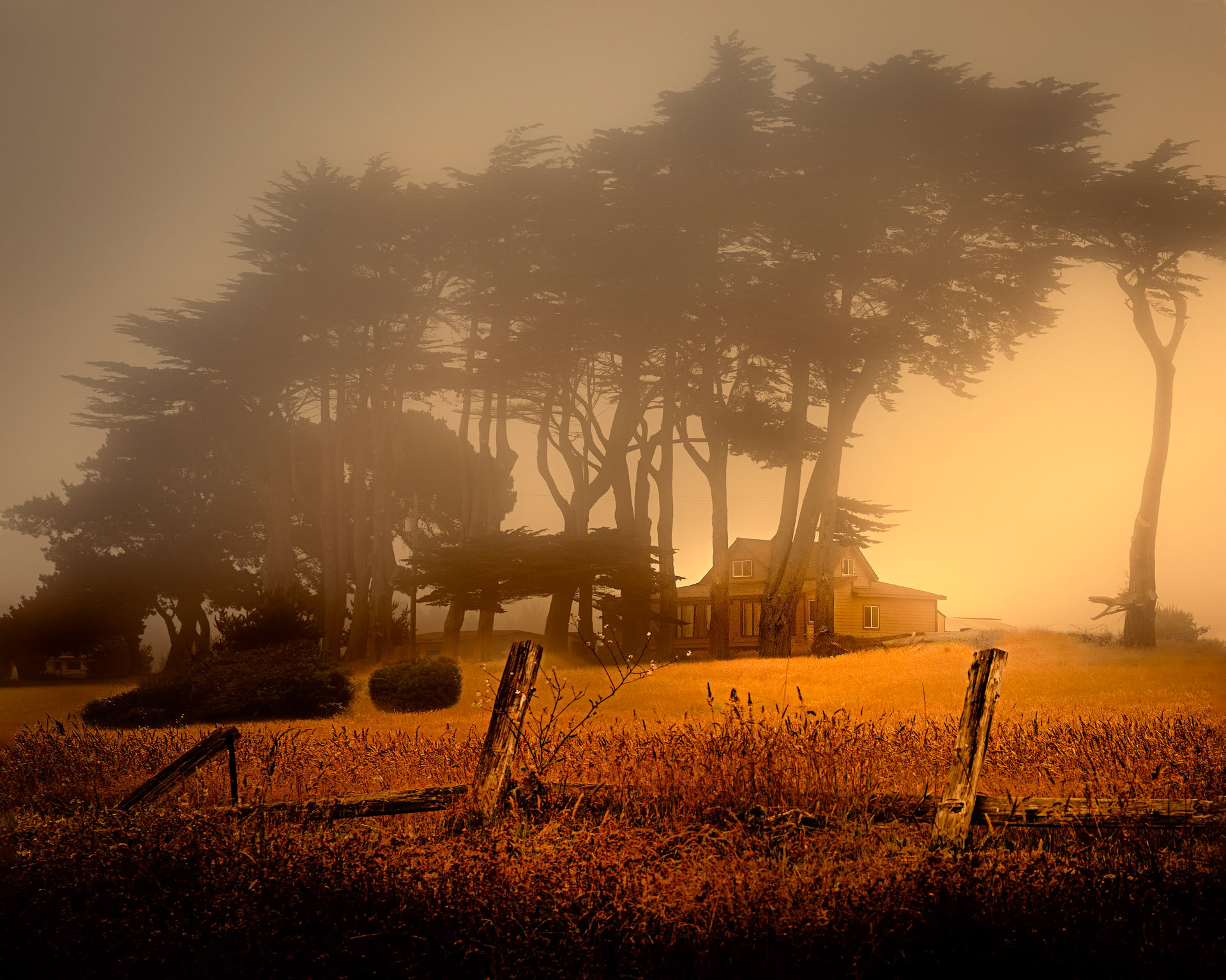 A New Morning