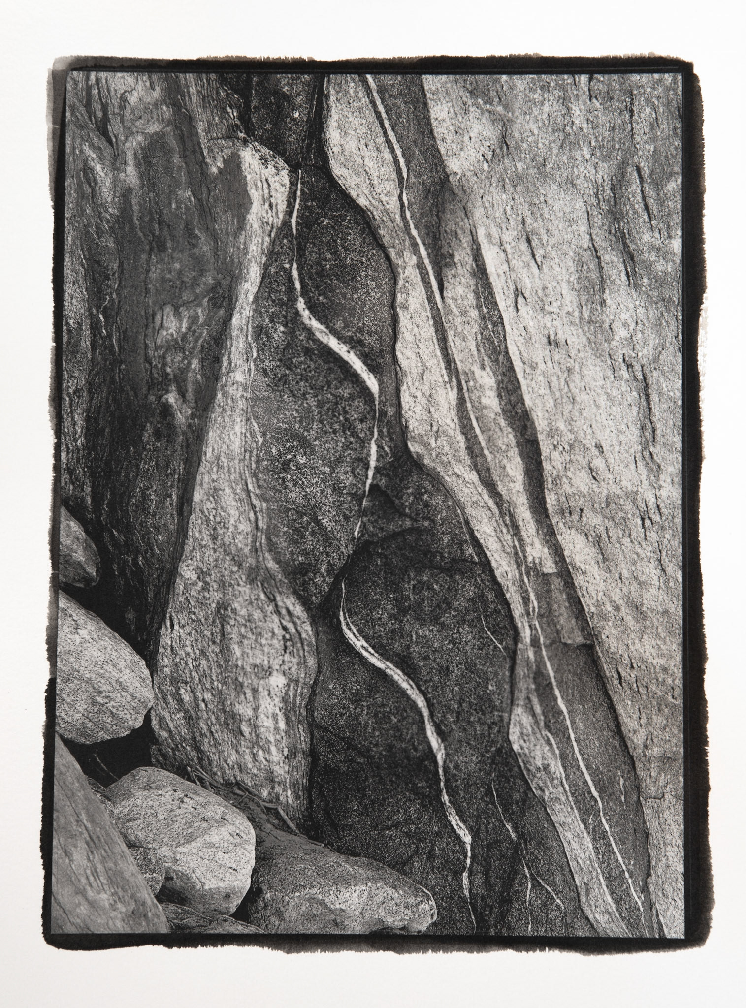 The Serpent of Palm Canyon
