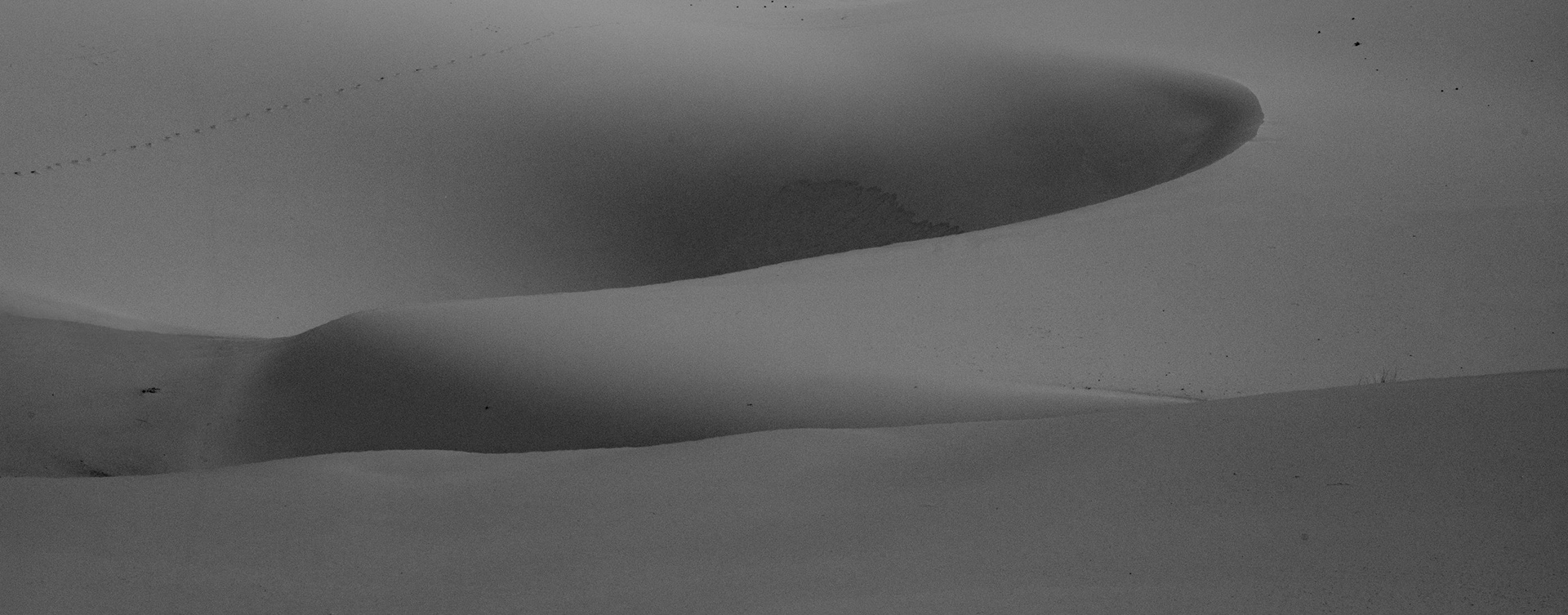 Desert Abstract