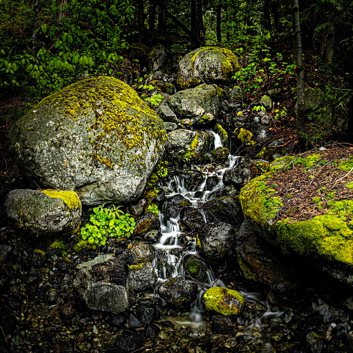 Trickling Water